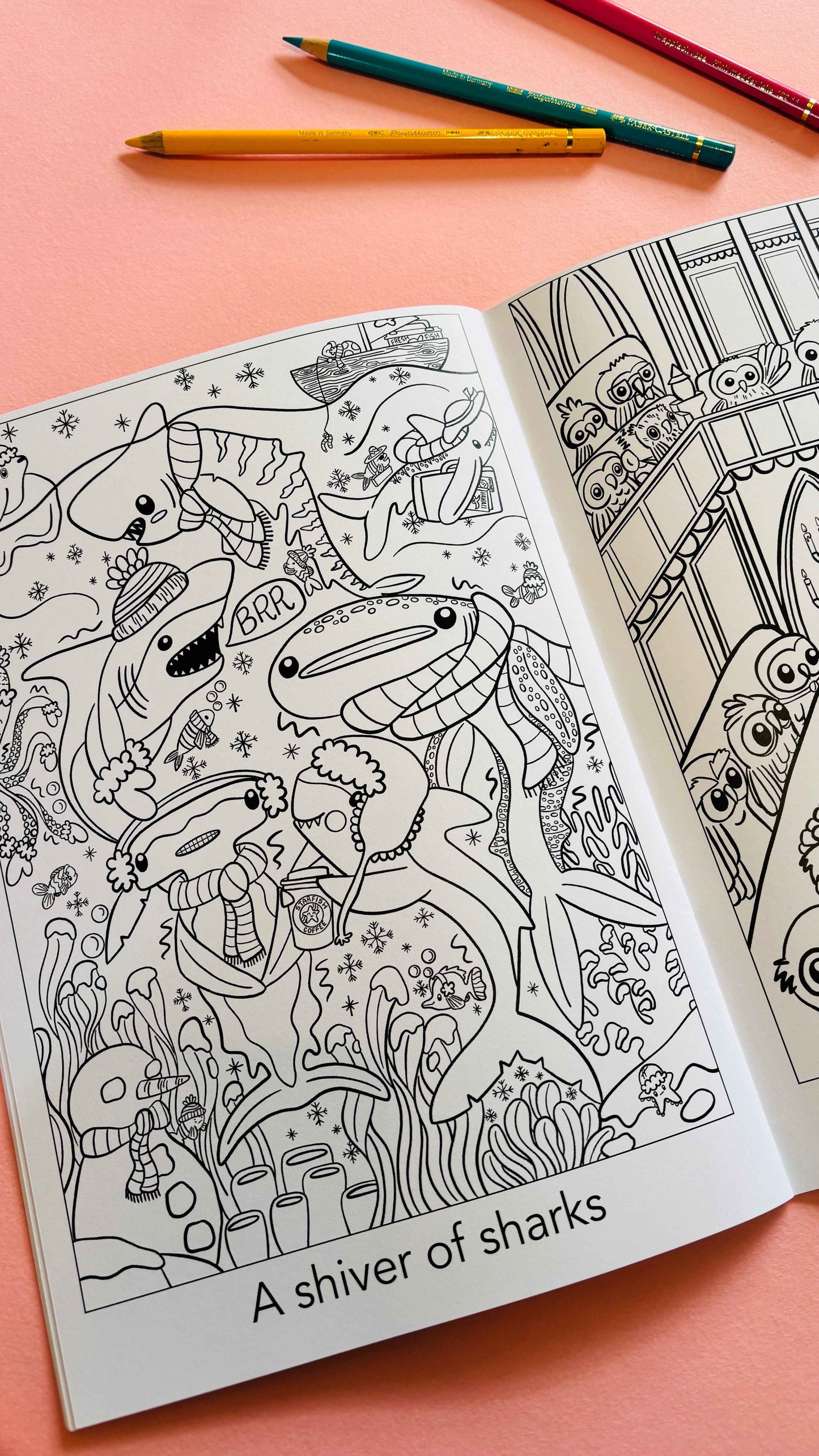 A crown of kingfishers: A collective noun colouring book