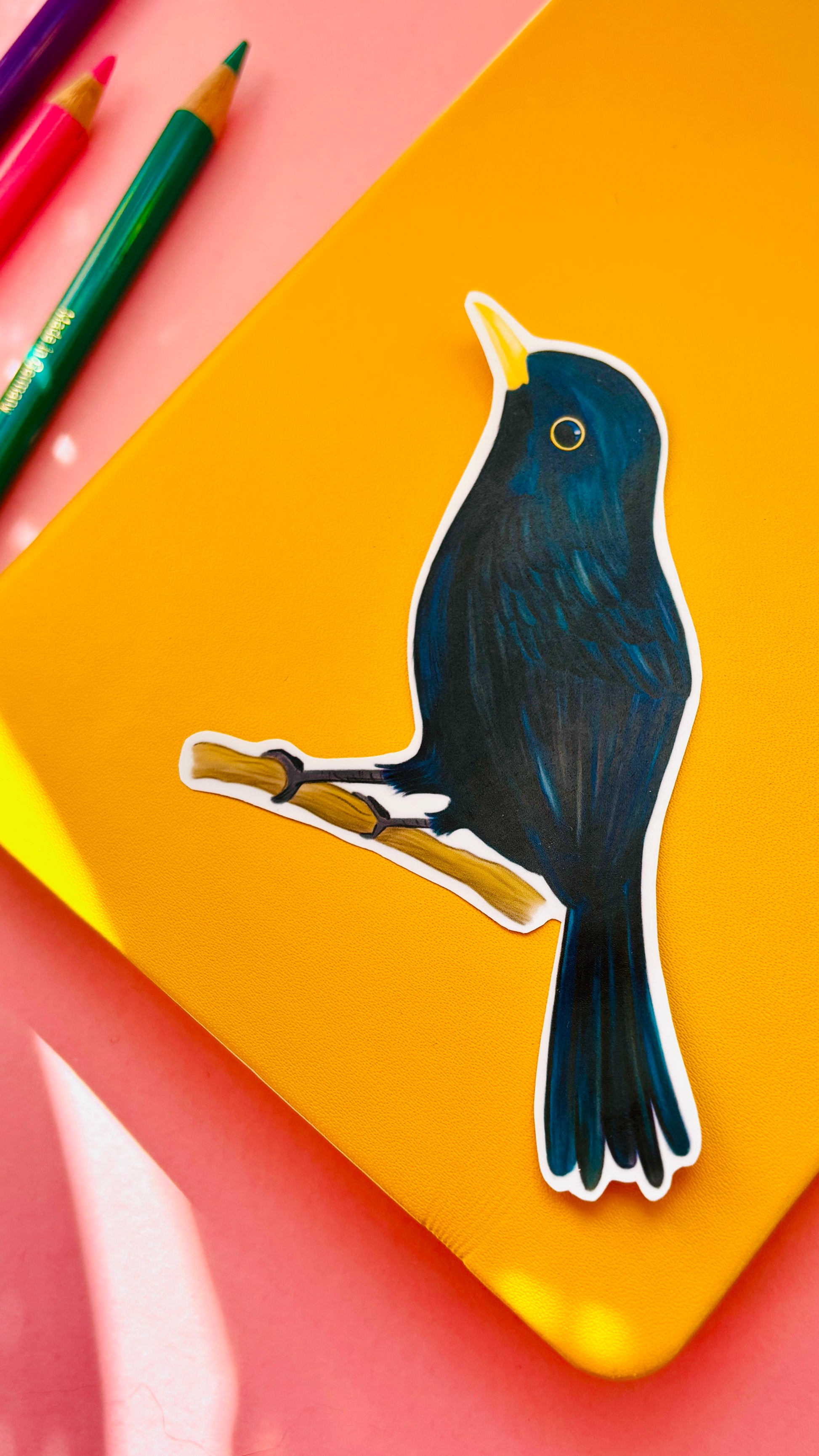Blackbird vinyl sticker. Handmade waterproof sticker inspired by British wildlife. This cheeky vinyl decal features a beautiful illustrated blackbird and is perfect for personalised water bottles, laptops, bullet journals, scrapbooks, wall decals and more. Sticker measures approximately 10cm and has a matte finish.
