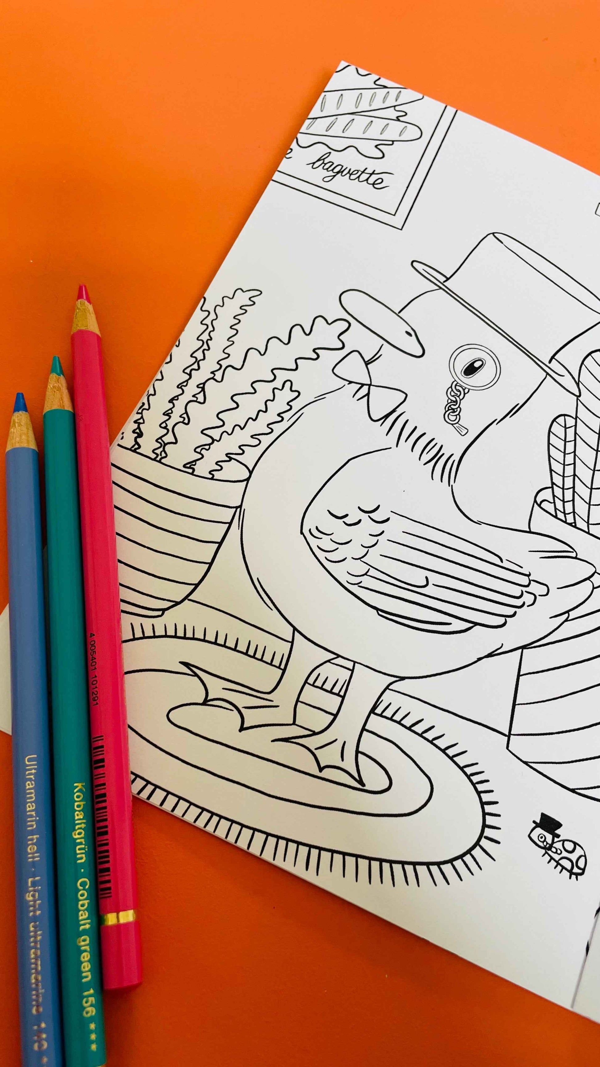 Dapper Ducks Illustrated A5 Colouring Book