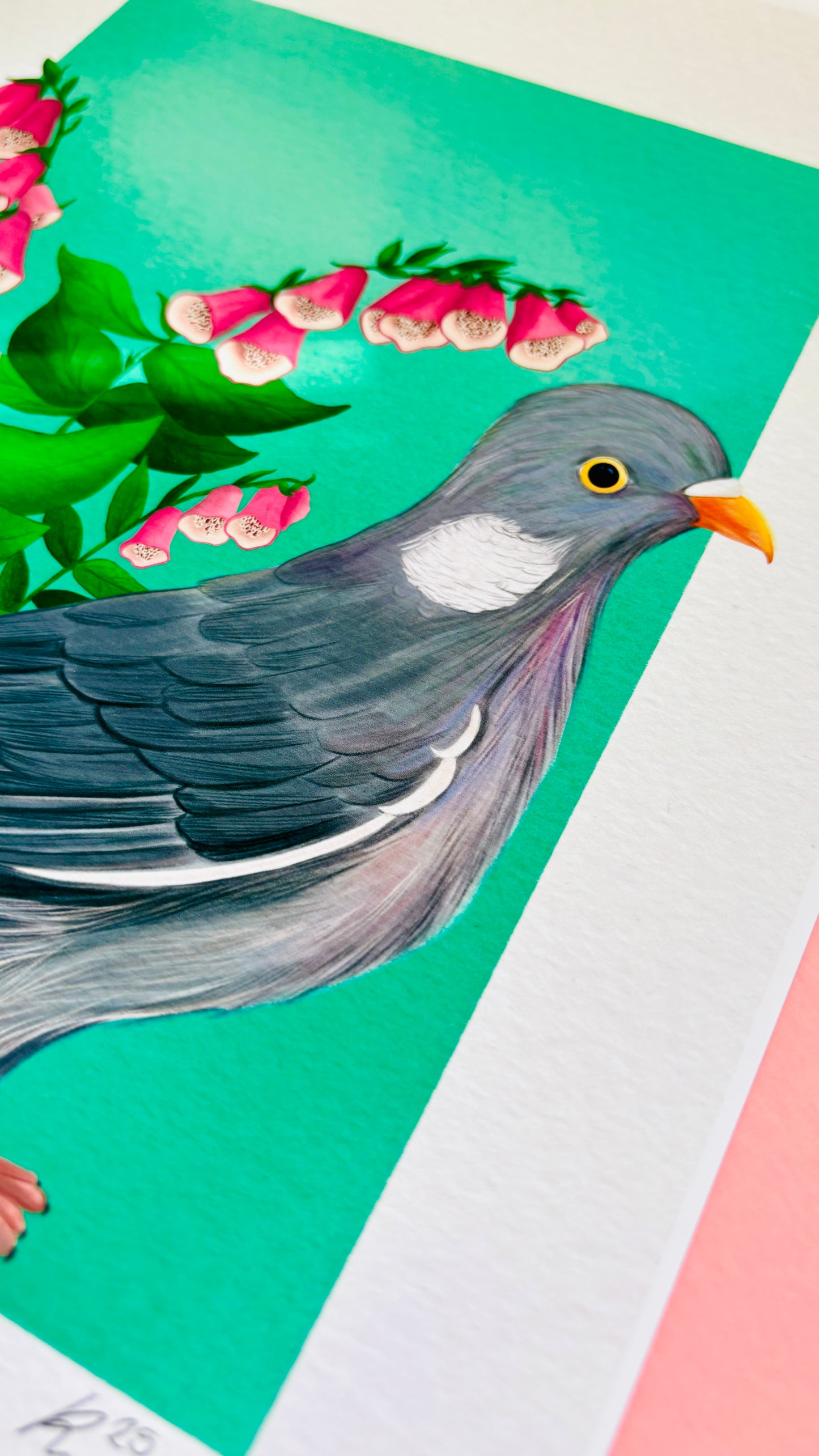 British wildlife pigeon art print for nature lovers. This cute print features an adorable wood pigeon in front of a bunch of pink foxglove plants. The perfect gift for nature lovers.