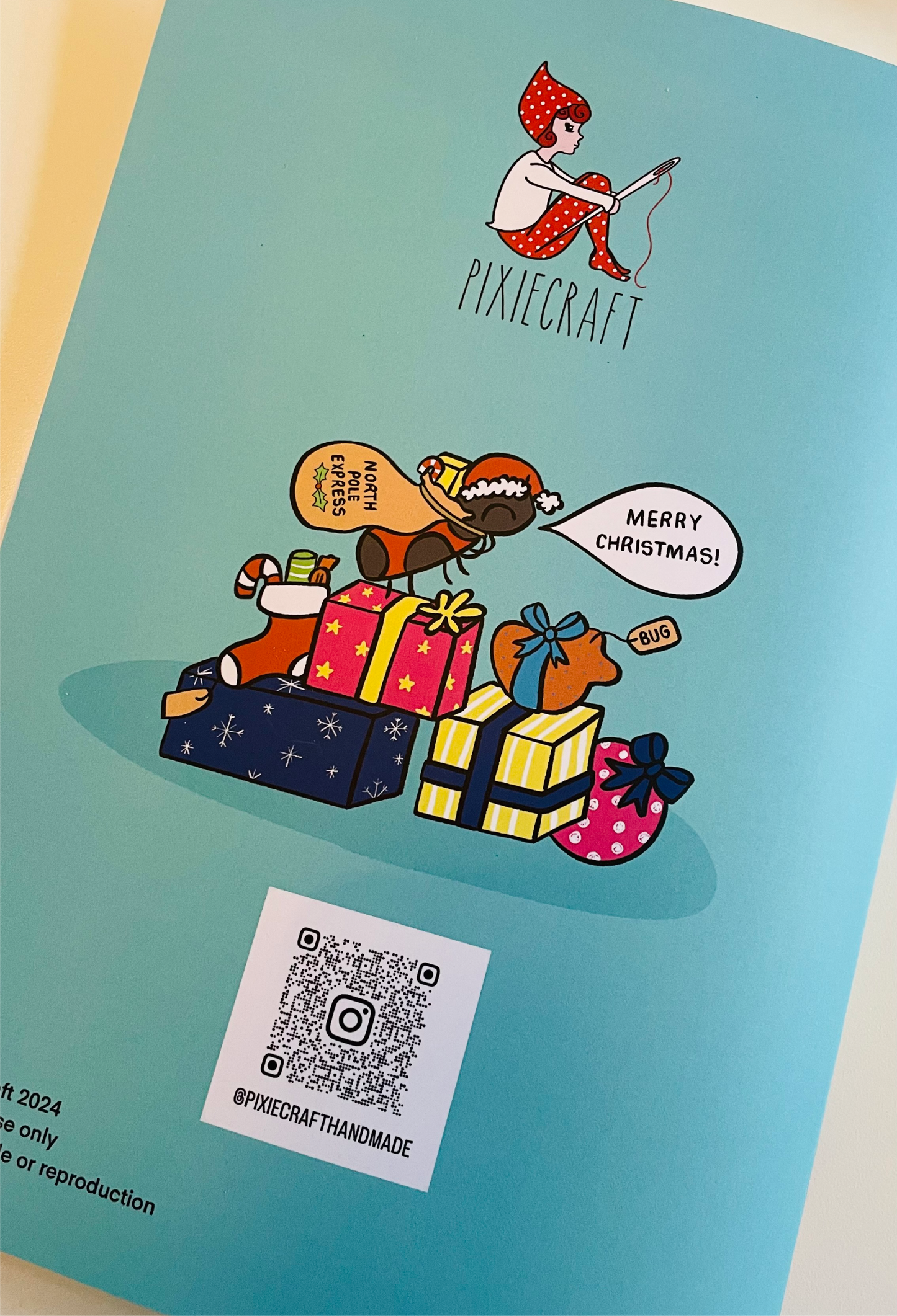 Twelve days of Christmas: a festive activity book