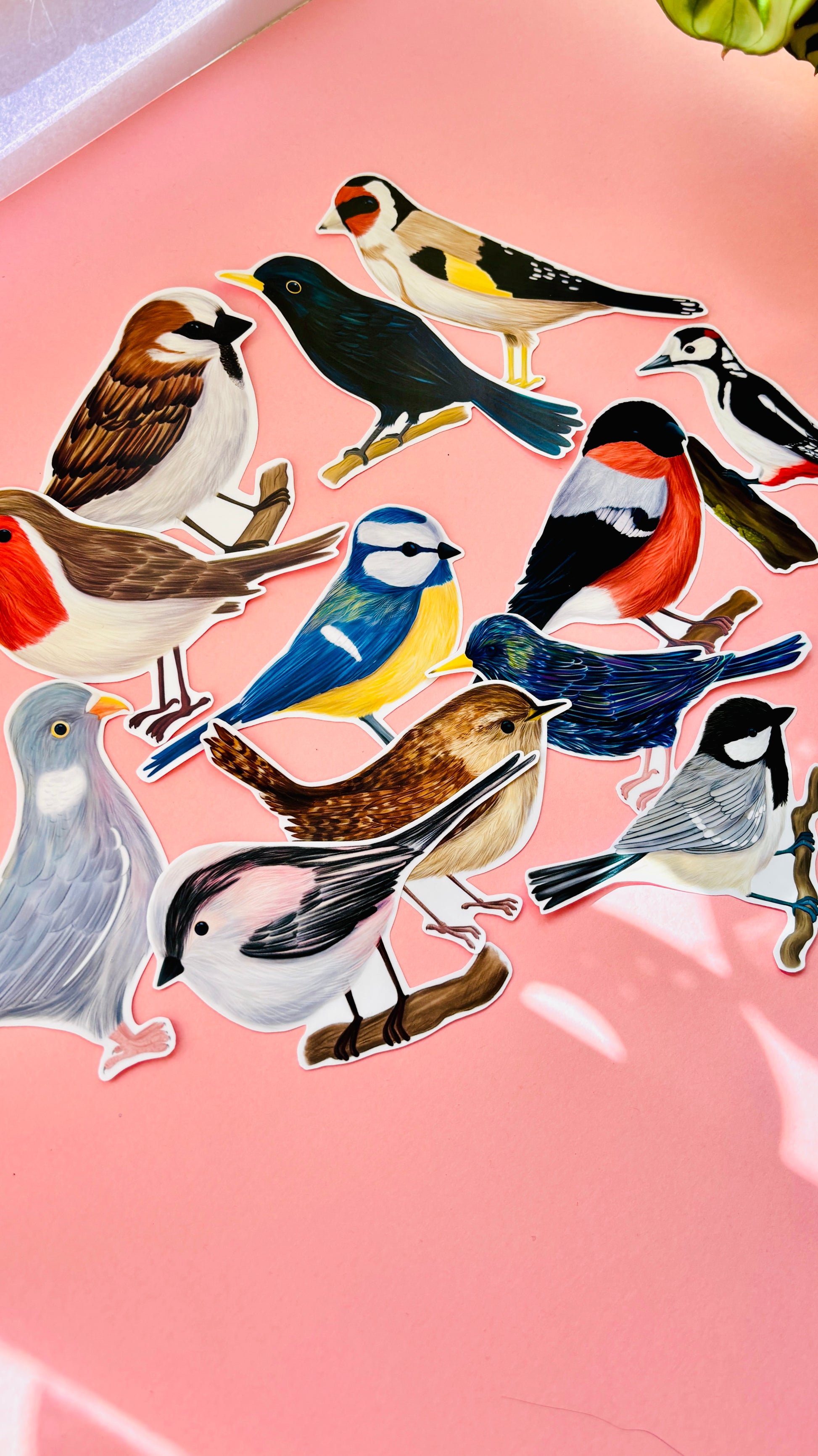 12 British garden birds vinyl stickers