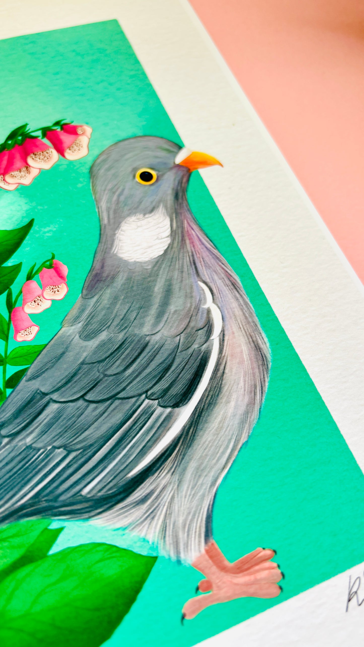 British wildlife pigeon art print for nature lovers. This cute print features an adorable wood pigeon in front of a bunch of pink foxglove plants. The perfect gift for nature lovers.