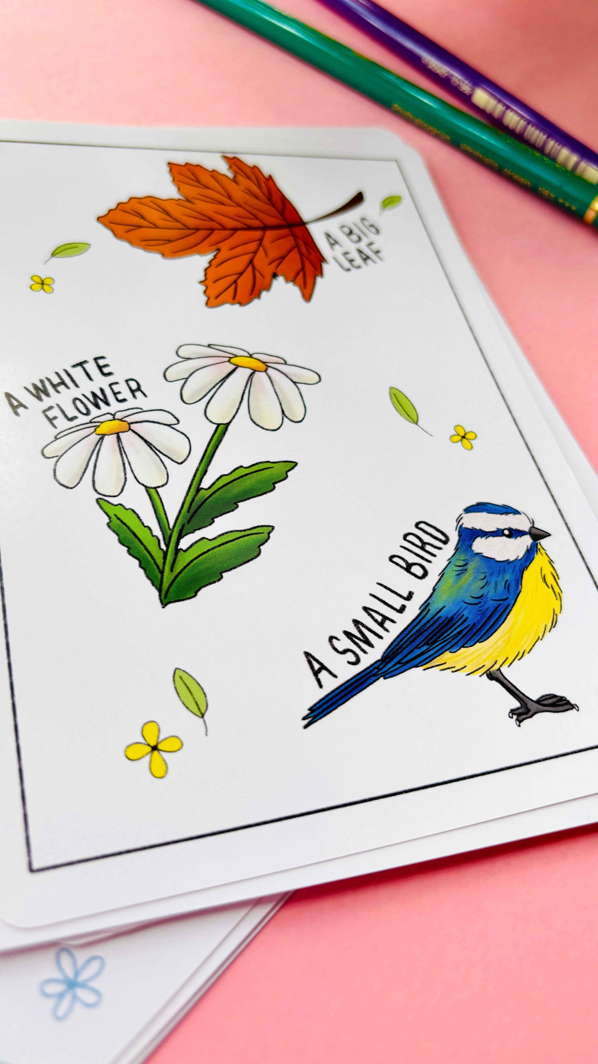 Nature Explorer Scavenger Hunt Cards- Illustrated Educational Activity Cards for Kids