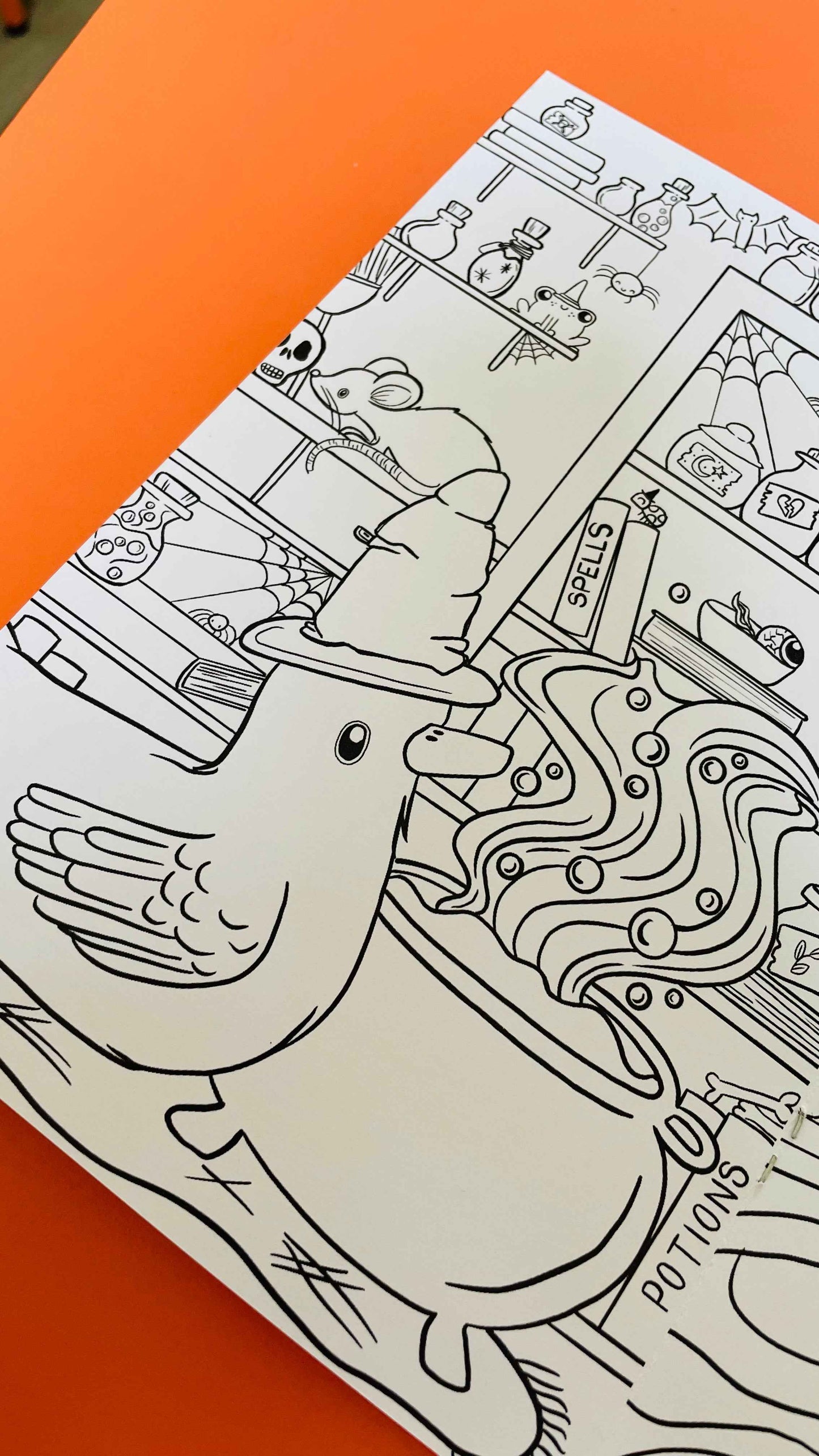 Dapper Ducks Illustrated A5 Colouring Book