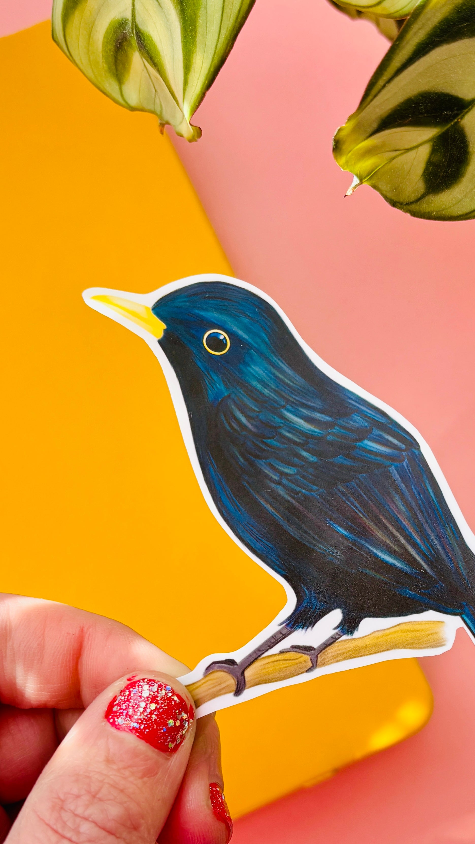 Blackbird vinyl sticker. Handmade waterproof sticker inspired by British wildlife. This cheeky vinyl decal features a beautiful illustrated blackbird and is perfect for personalised water bottles, laptops, bullet journals, scrapbooks, wall decals and more. Sticker measures approximately 10cm and has a matte finish.