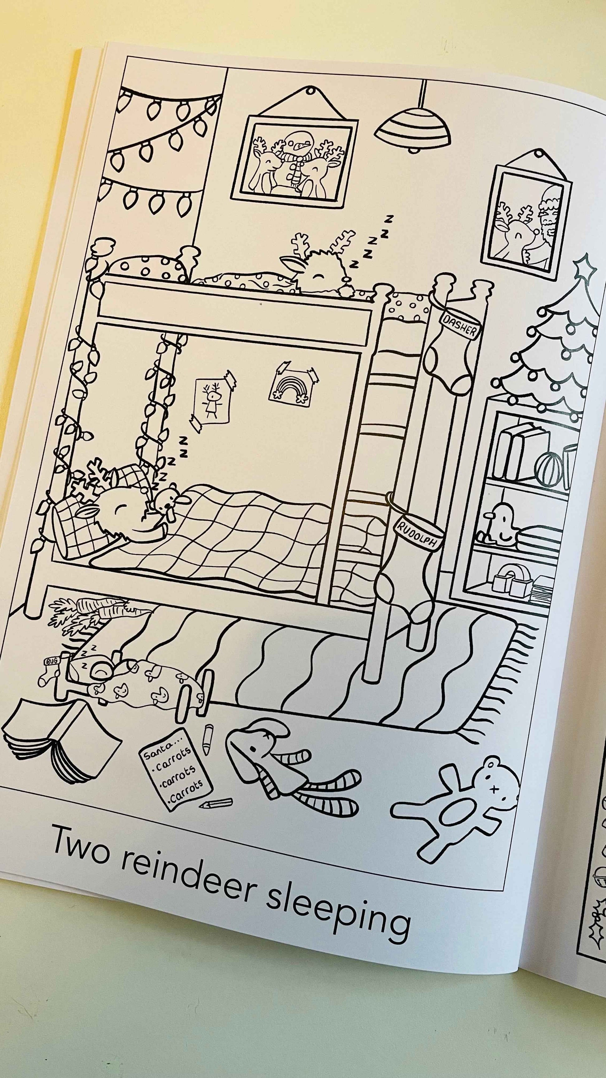 Twelve days of Christmas: a festive activity book