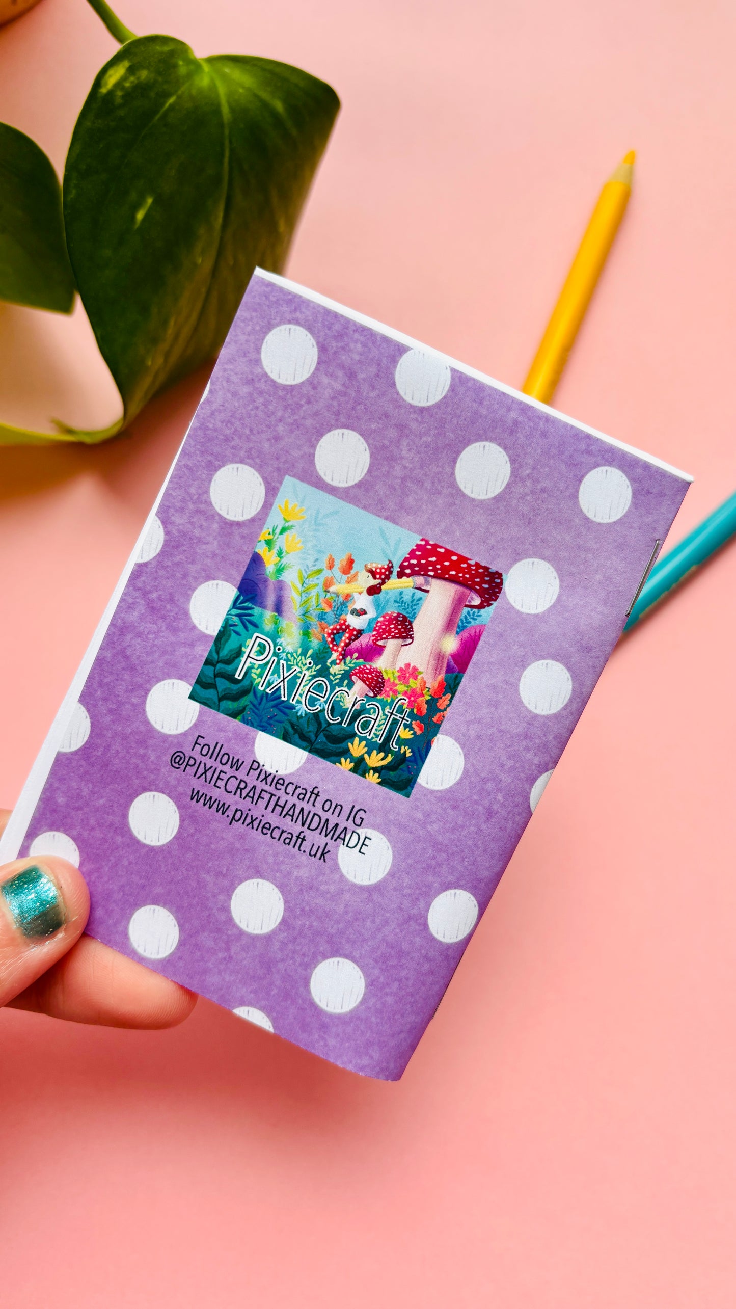 They WHAT Now!? A Weird and Wonderful Animal Zine