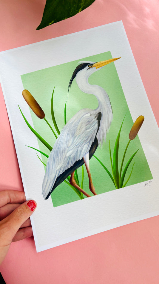 Heron art print. A beautiful hand drawn illustration of a grey heron stood between the reeds. Uk wildlife art for nature lovers and cottagecore home decor styles. Printed onto matte archival  paper in a3, a4, 5x7, 6x4