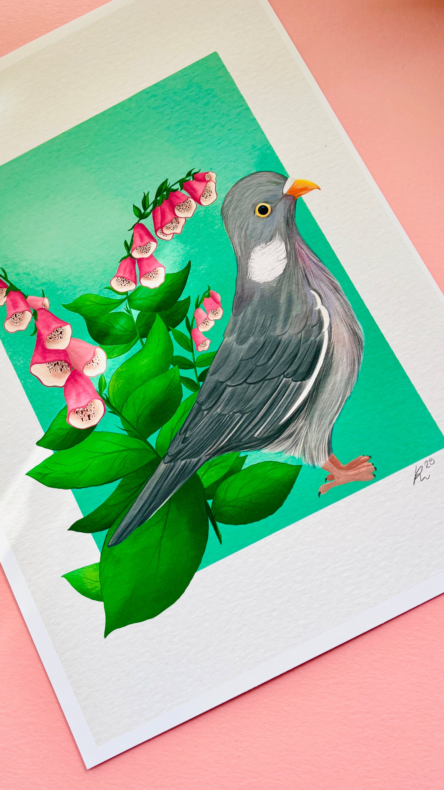 British wildlife pigeon art print for nature lovers. This cute print features an adorable wood pigeon in front of a bunch of pink foxglove plants. The perfect gift for nature lovers.