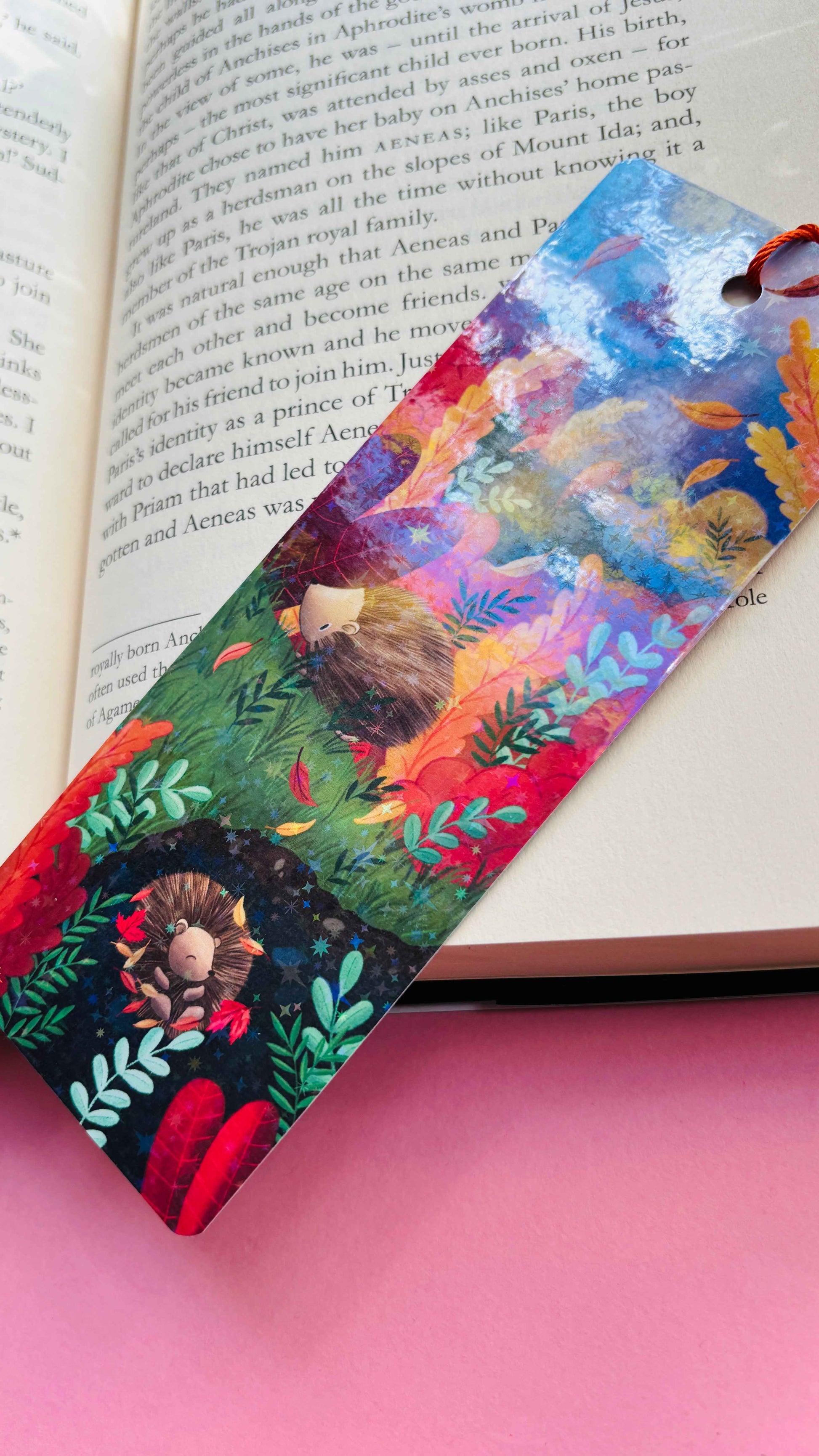 Rainbow shimmer Autumn Hedgehog bookmark, double-sided illustration, hand-illustrated and made in the UK.
