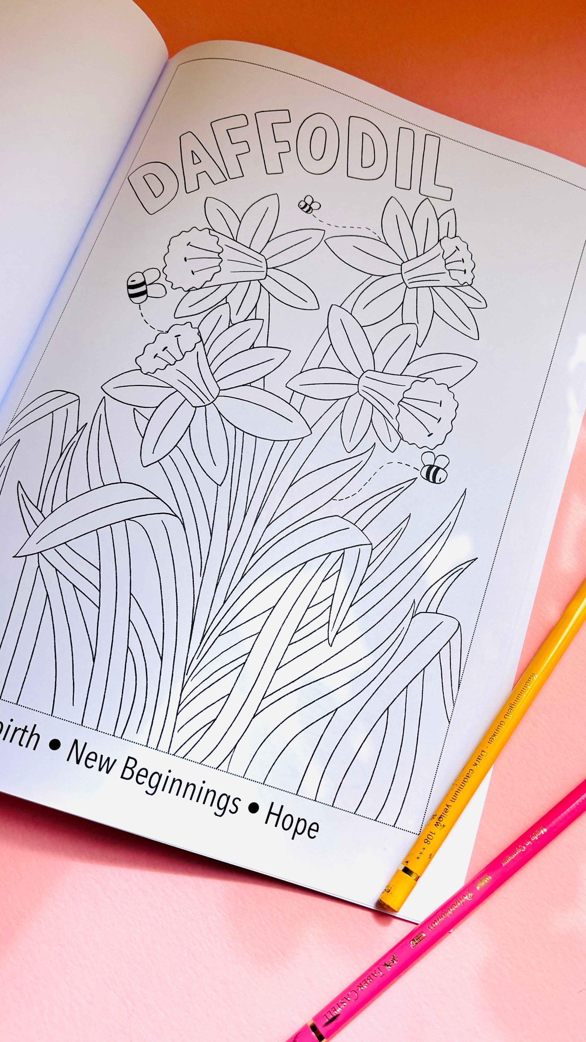 Blooming Lovely: The language of flowers colouring book for adults. A bold and easy to colour creative activity. Hand drawn pages this charming indie floral colouring book won’t be found anywhere else. Each page has a different flower and a fact about its meaning for a fun educational experience. Colouring books are ideal for self care and mindfulness.