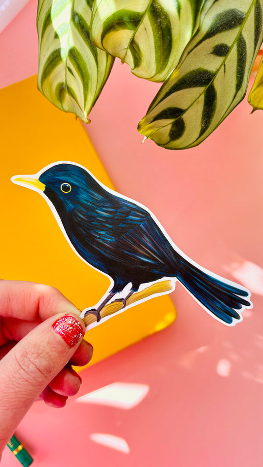 Blackbird vinyl sticker. Handmade waterproof sticker inspired by British wildlife. This cheeky vinyl decal features a beautiful illustrated blackbird and is perfect for personalised water bottles, laptops, bullet journals, scrapbooks, wall decals and more. Sticker measures approximately 10cm and has a matte finish.