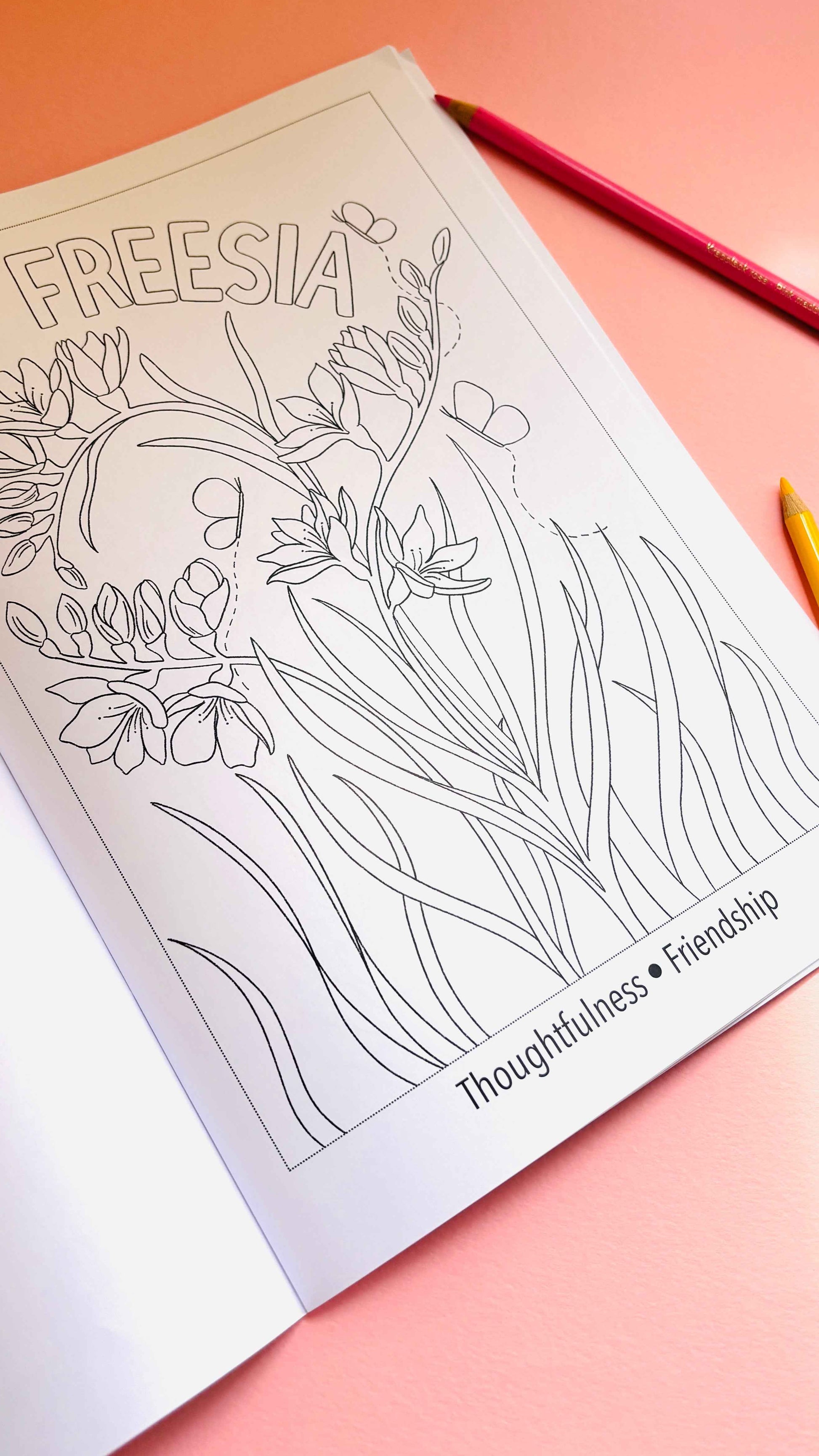Blooming Lovely: The language of flowers colouring book for adults. A bold and easy to colour creative activity. Hand drawn pages this charming indie floral colouring book won’t be found anywhere else. Each page has a different flower and a fact about its meaning for a fun educational experience. Colouring books are ideal for self care and mindfulness.