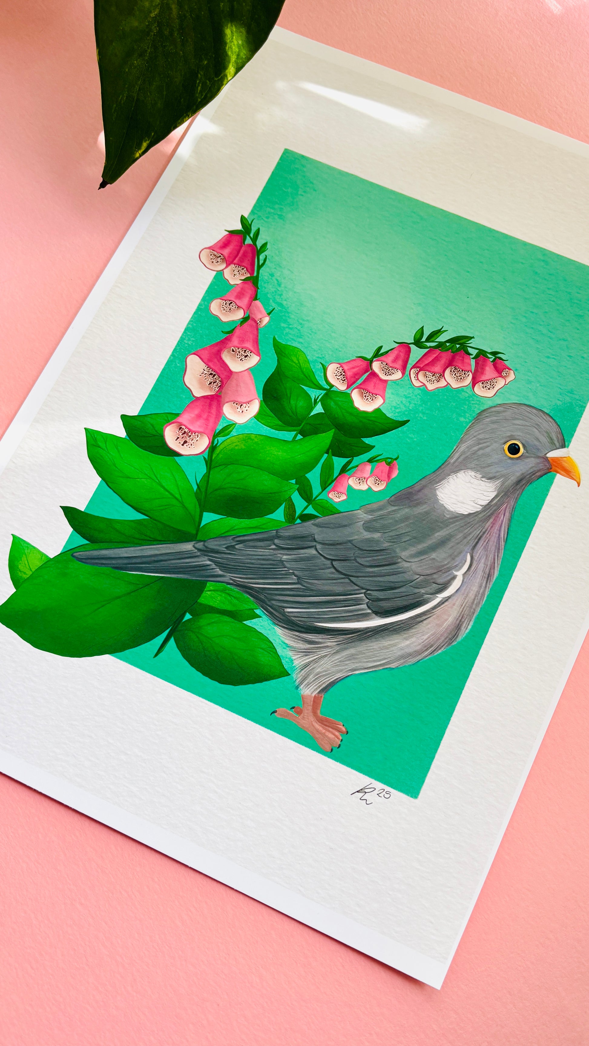 British wildlife pigeon art print for nature lovers. This cute print features an adorable wood pigeon in front of a bunch of pink foxglove plants. The perfect gift for nature lovers.