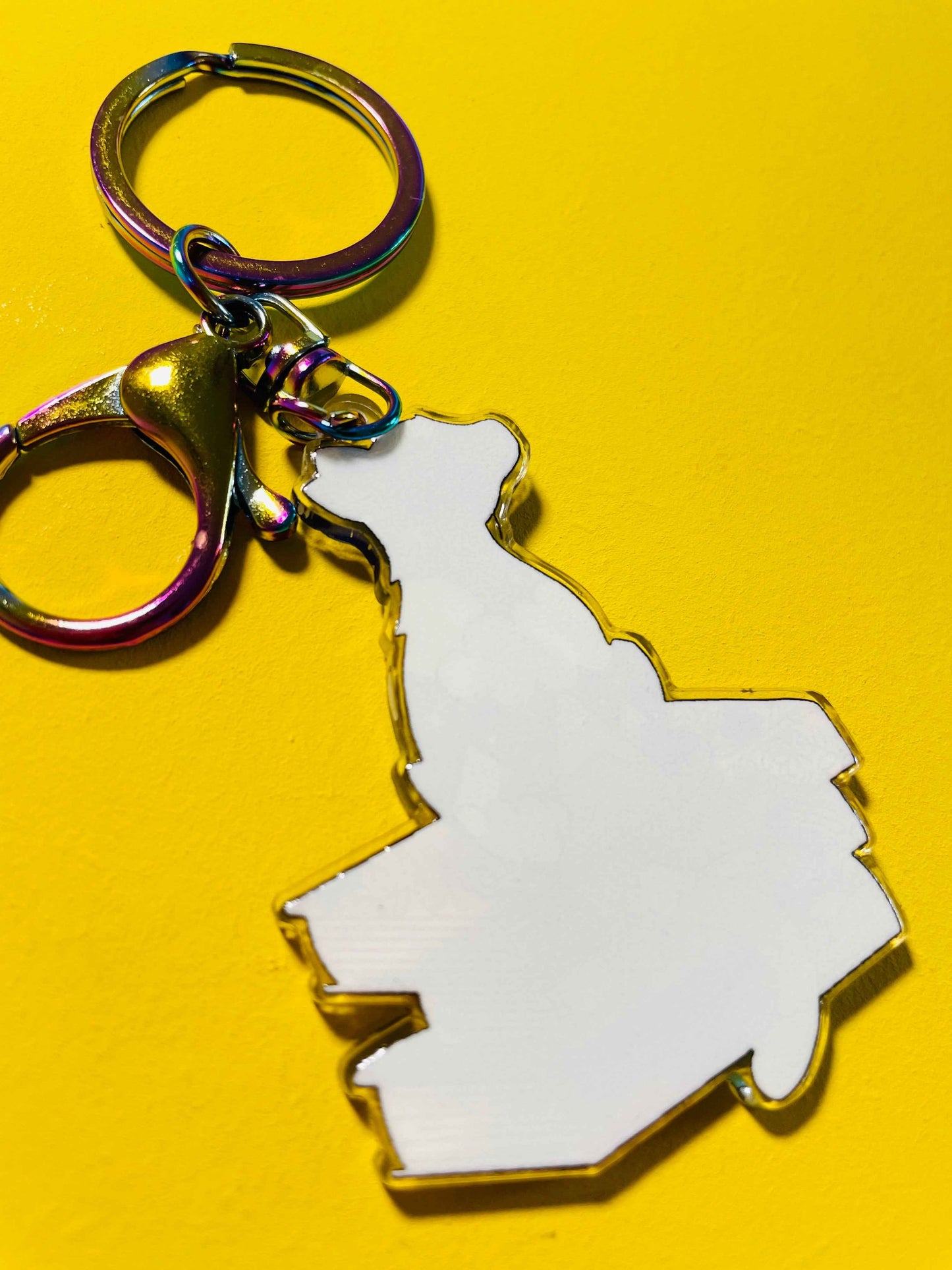 Starry Cat and Books Keyring