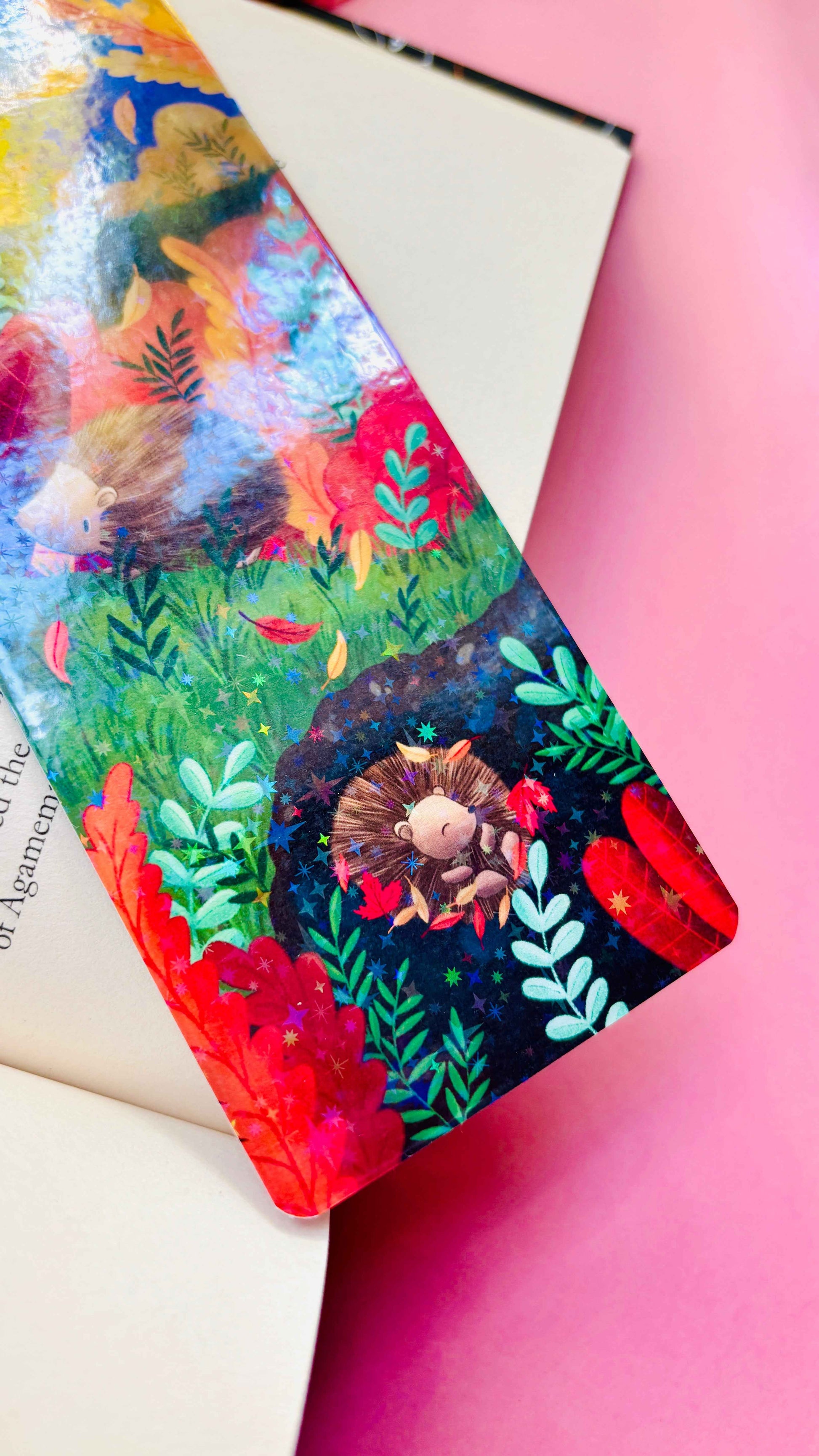 Rainbow shimmer Autumn Hedgehog bookmark, double-sided illustration, hand-illustrated and made in the UK.