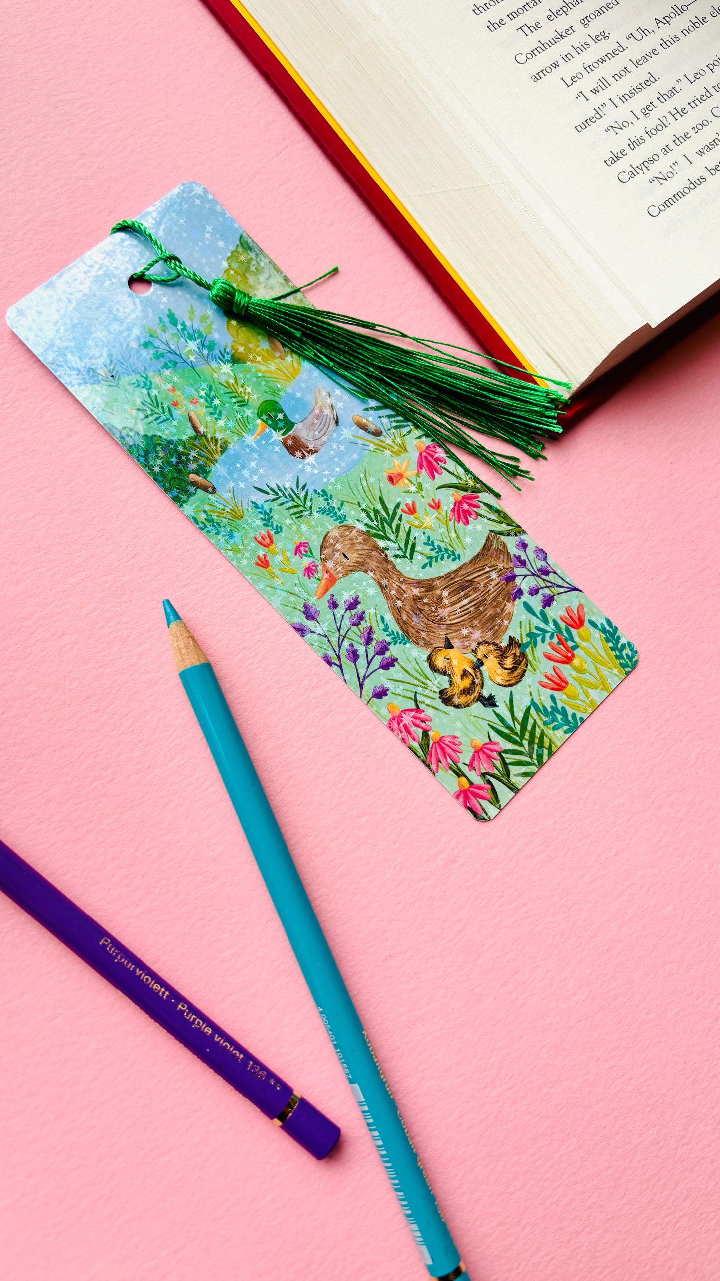 gift for book lovers inspired by British wildlife with duck art