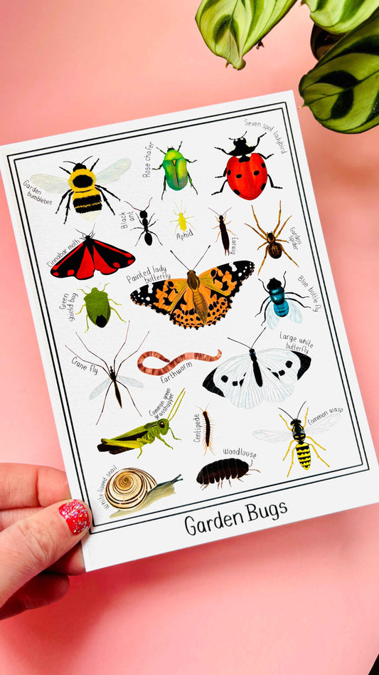 Garden Bug Wall Art Print: Nature Inspired Educational Wall Art for Kids Rooms.