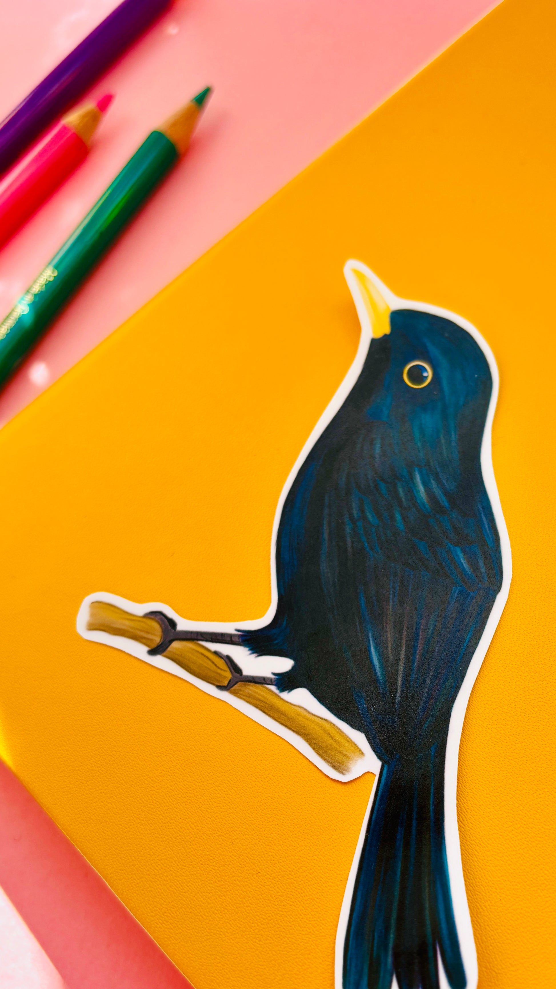 Blackbird vinyl sticker. Handmade waterproof sticker inspired by British wildlife. This cheeky vinyl decal features a beautiful illustrated blackbird and is perfect for personalised water bottles, laptops, bullet journals, scrapbooks, wall decals and more. Sticker measures approximately 10cm and has a matte finish.