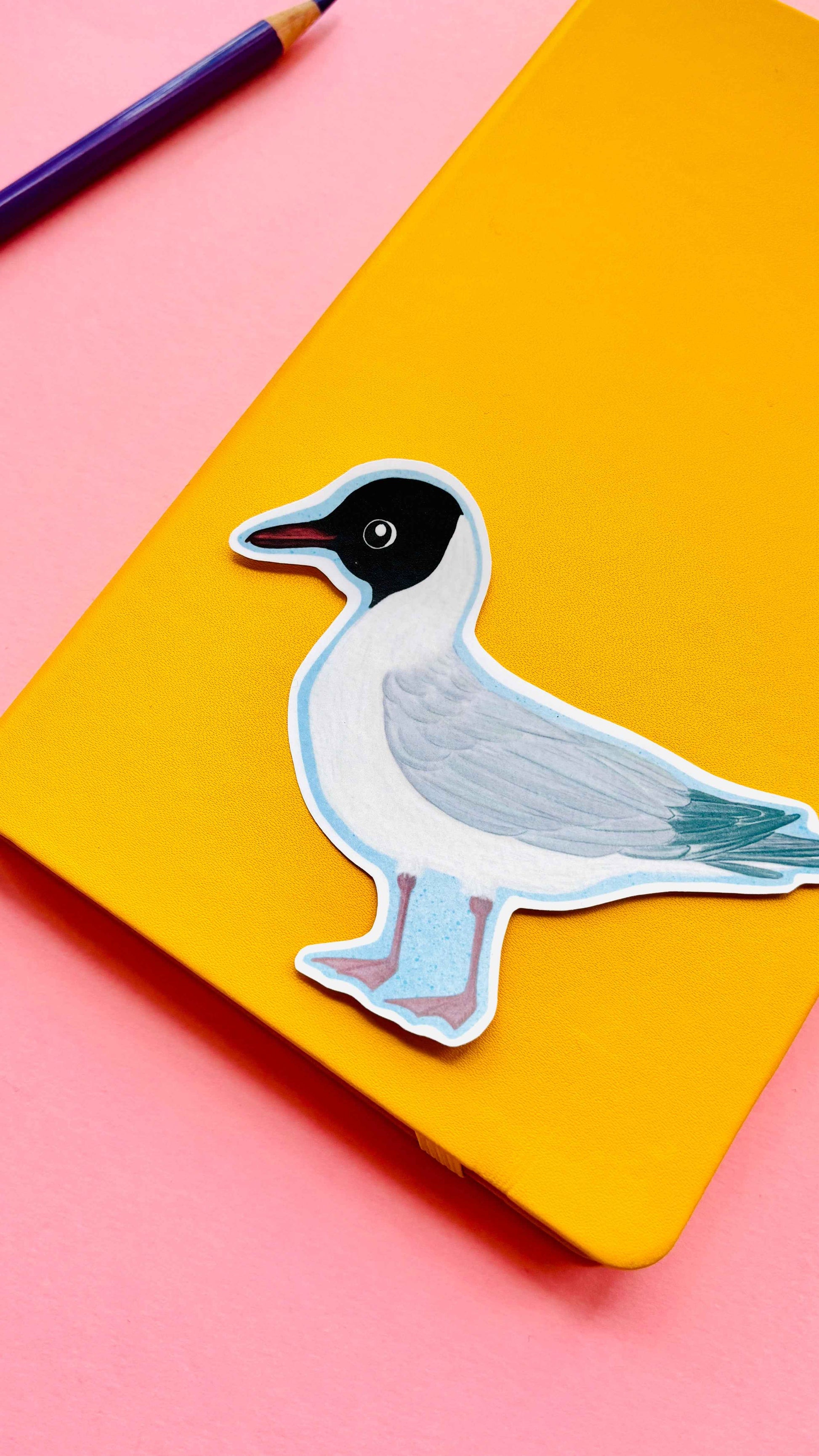 Black headed Gull Illustrated Vinyl Sticker