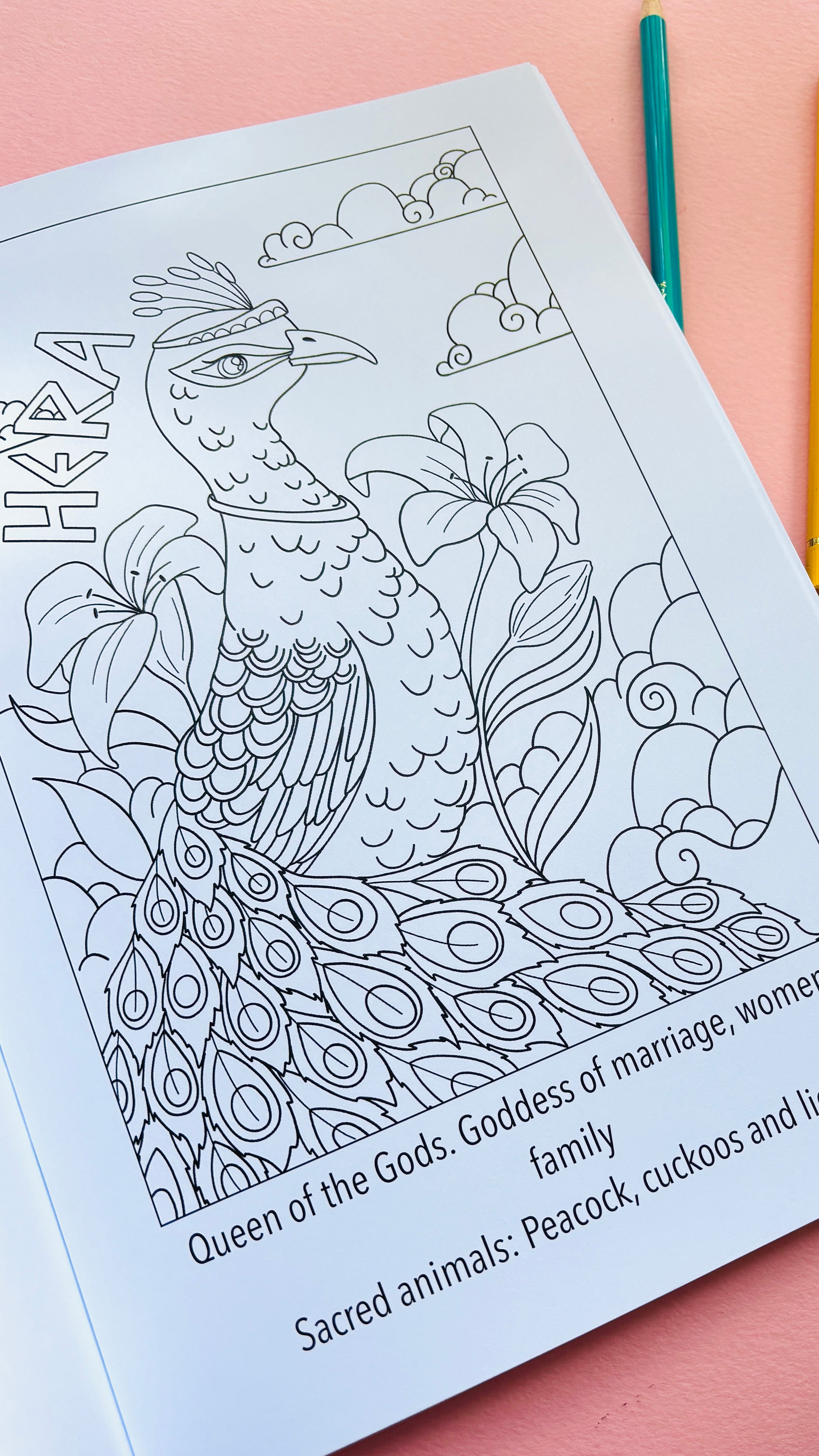 Animals of Olympus: A Greek Mythology Colouring Book for adults and kids with hand drawn colouring pages, single sided, heavy weight paper. This educational colouring book is great for home educators and homeschoolers.