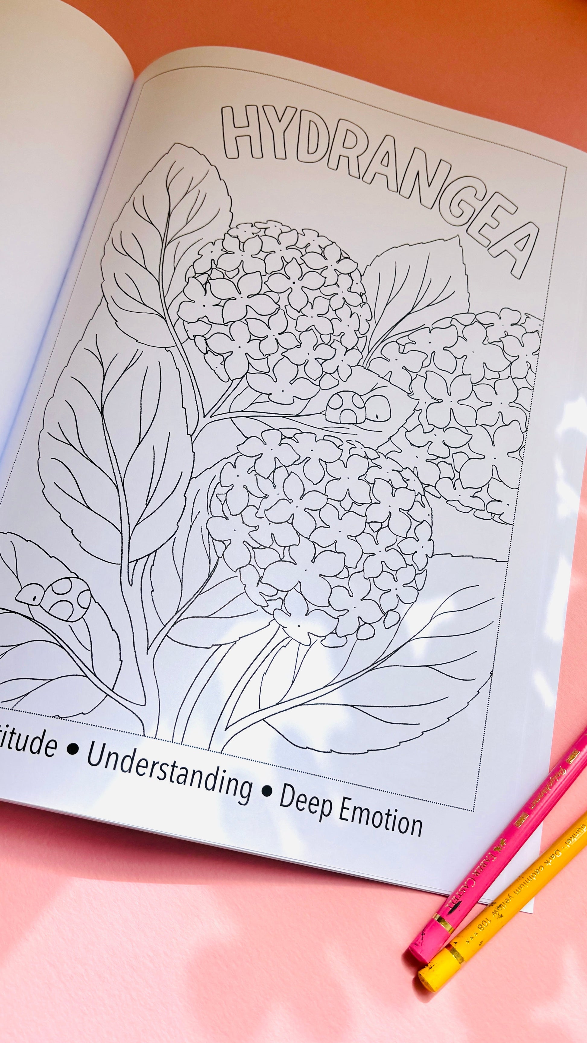 Blooming Lovely: The language of flowers colouring book for adults. A bold and easy to colour creative activity. Hand drawn pages this charming indie floral colouring book won’t be found anywhere else. Each page has a different flower and a fact about its meaning for a fun educational experience. Colouring books are ideal for self care and mindfulness.