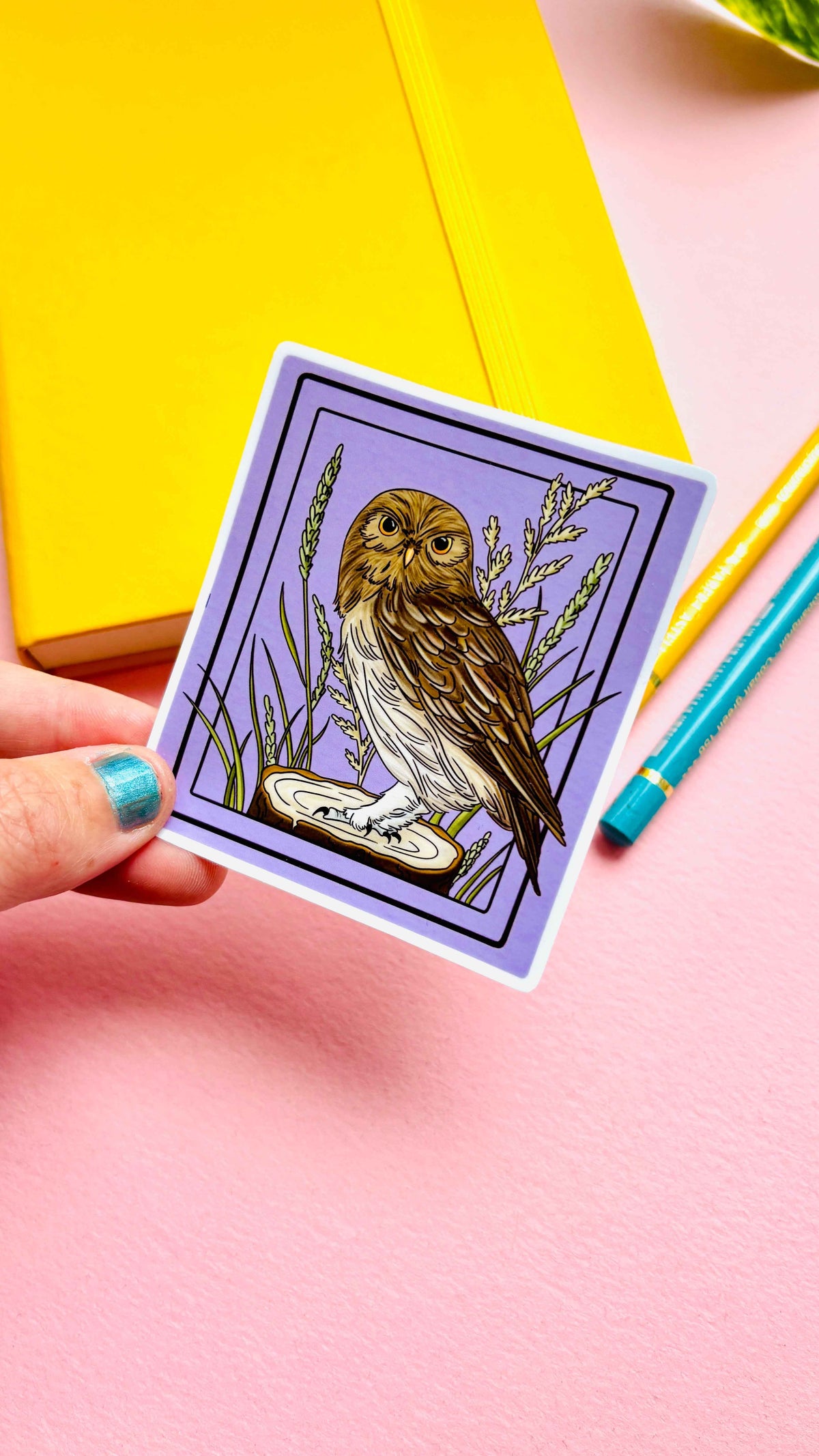 Little Owl Illustrated Waterproof Sticker- Nature Stationery