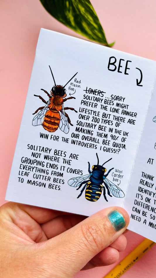 To BEE or not to BEE- An introduction to UK Bees Zine