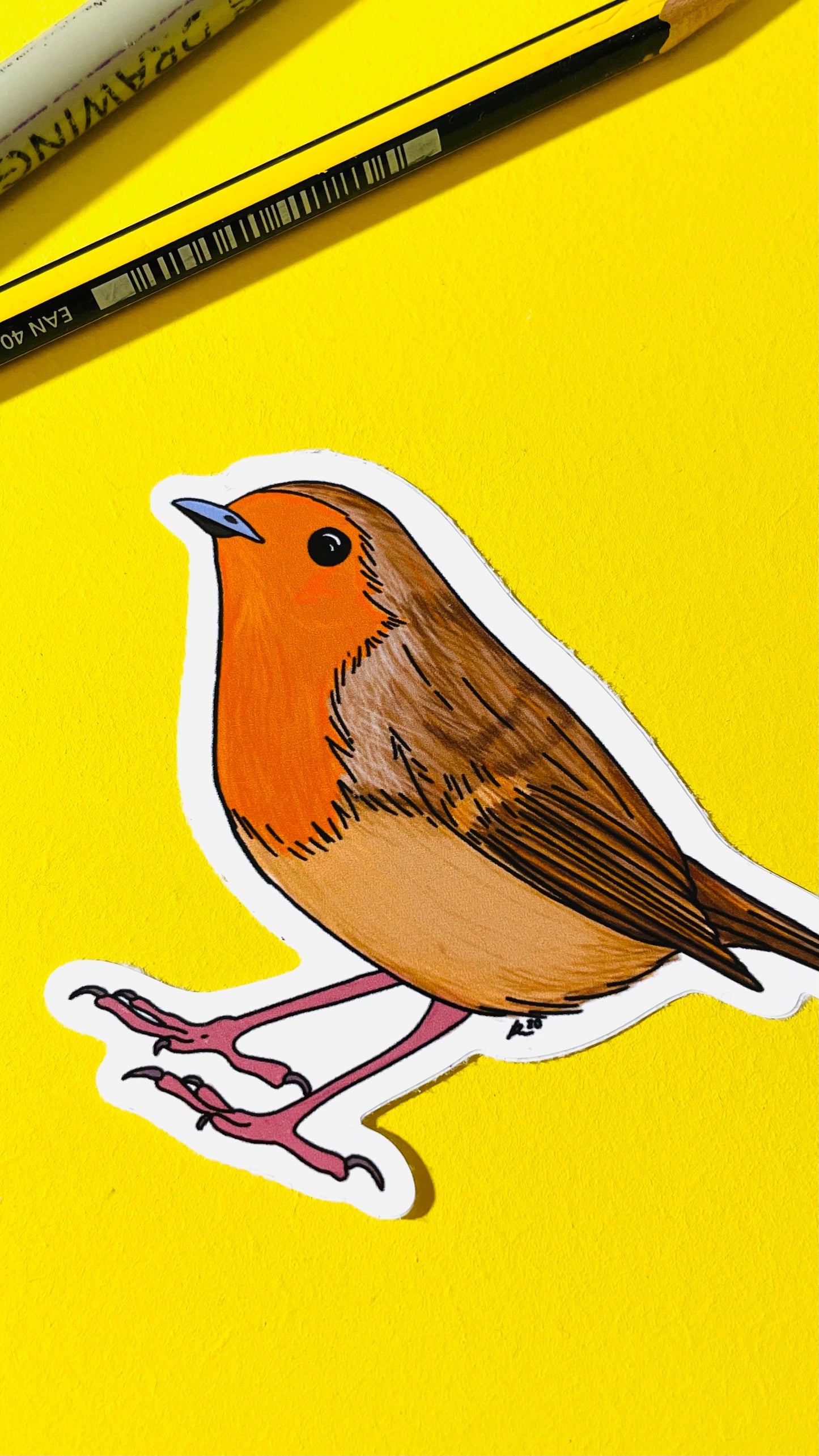 Robin Illustrated Vinyl Sticker - Pixiecraft