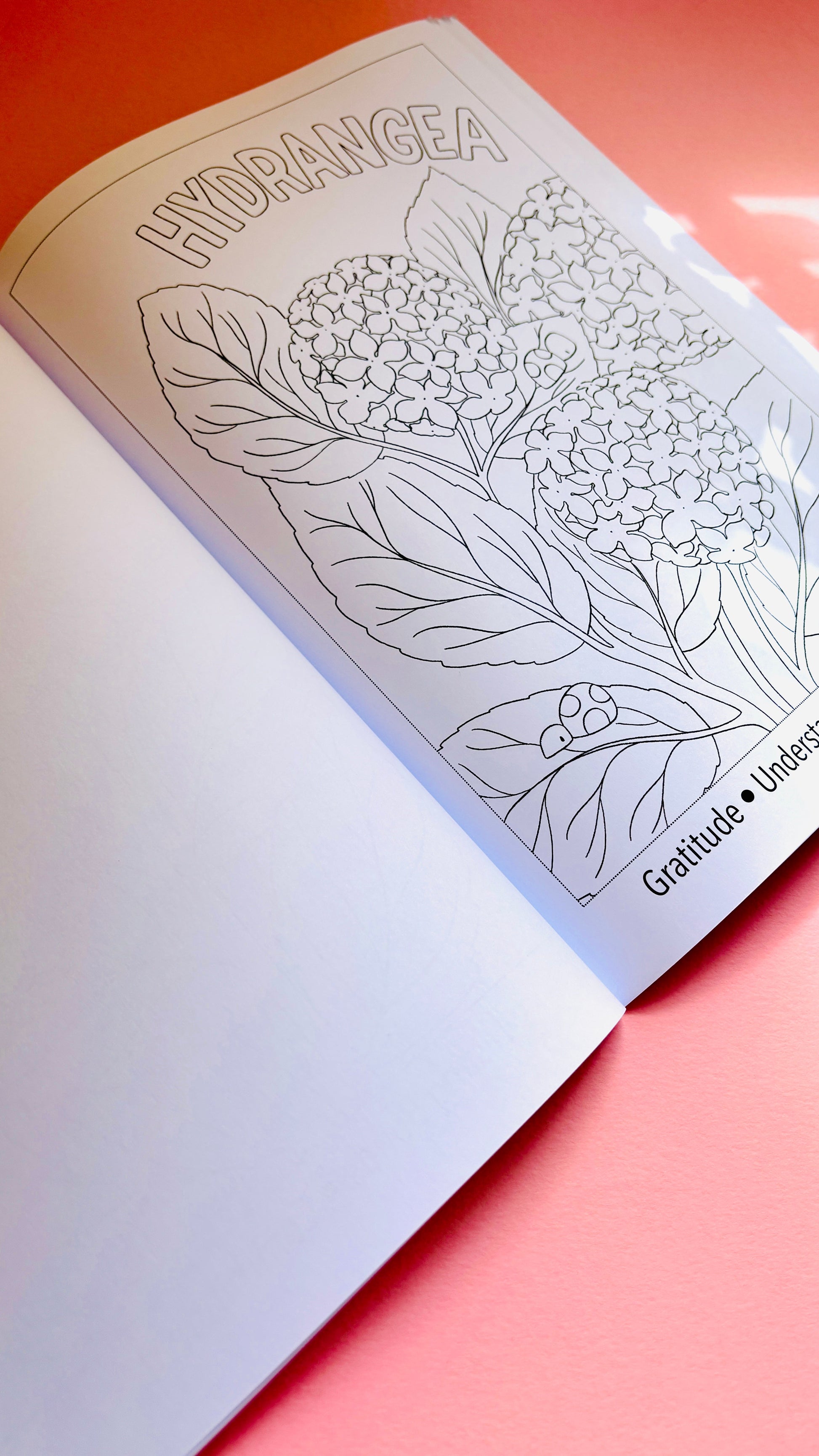 Blooming Lovely: The language of flowers colouring book for adults. A bold and easy to colour creative activity. Hand drawn pages this charming indie floral colouring book won’t be found anywhere else. Each page has a different flower and a fact about its meaning for a fun educational experience. Colouring books are ideal for self care and mindfulness.