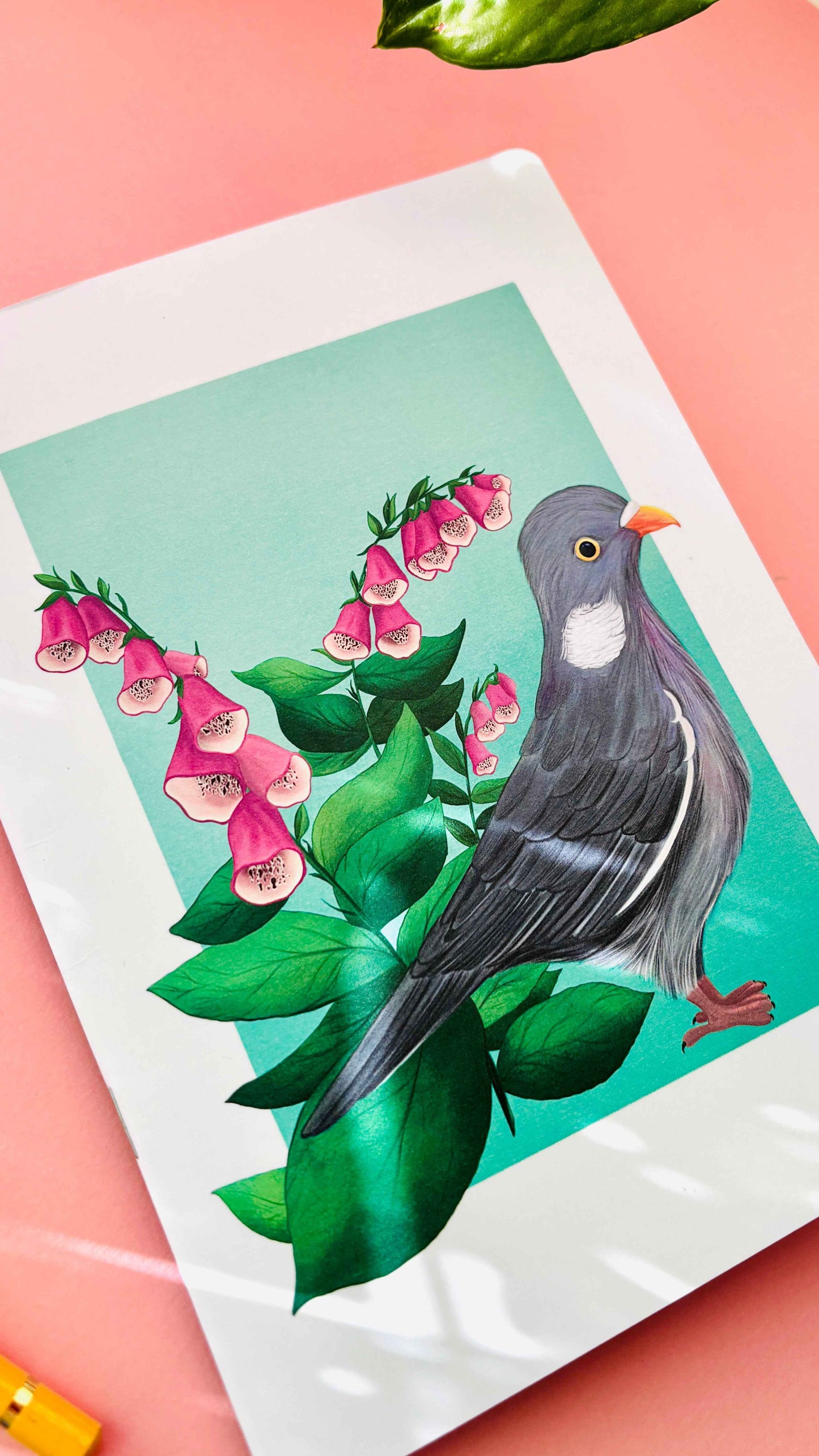 Coal Tit A5 Notebook – Illustrated Nature Blank Notebook
