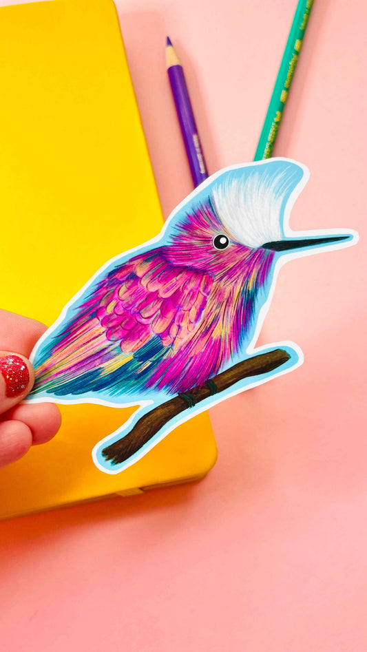 Snowcap Hummingbird Illustrated Vinyl Sticker