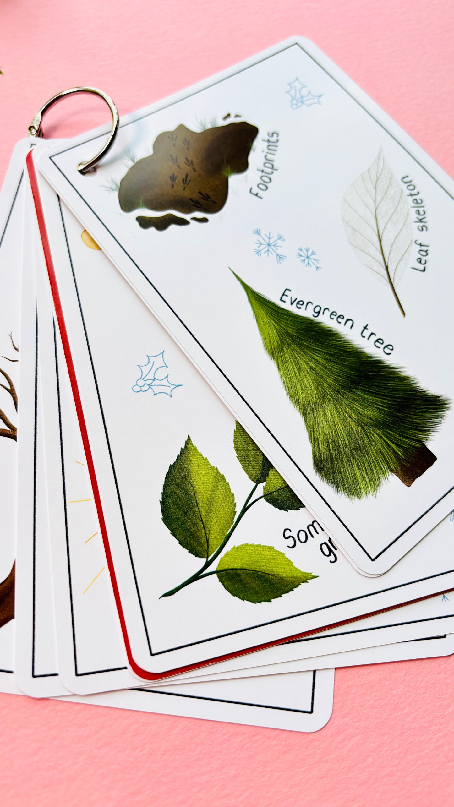 Nature-inspired winter scavenger hunt card set beautifully illustrated cards for outdoor adventures and educational play