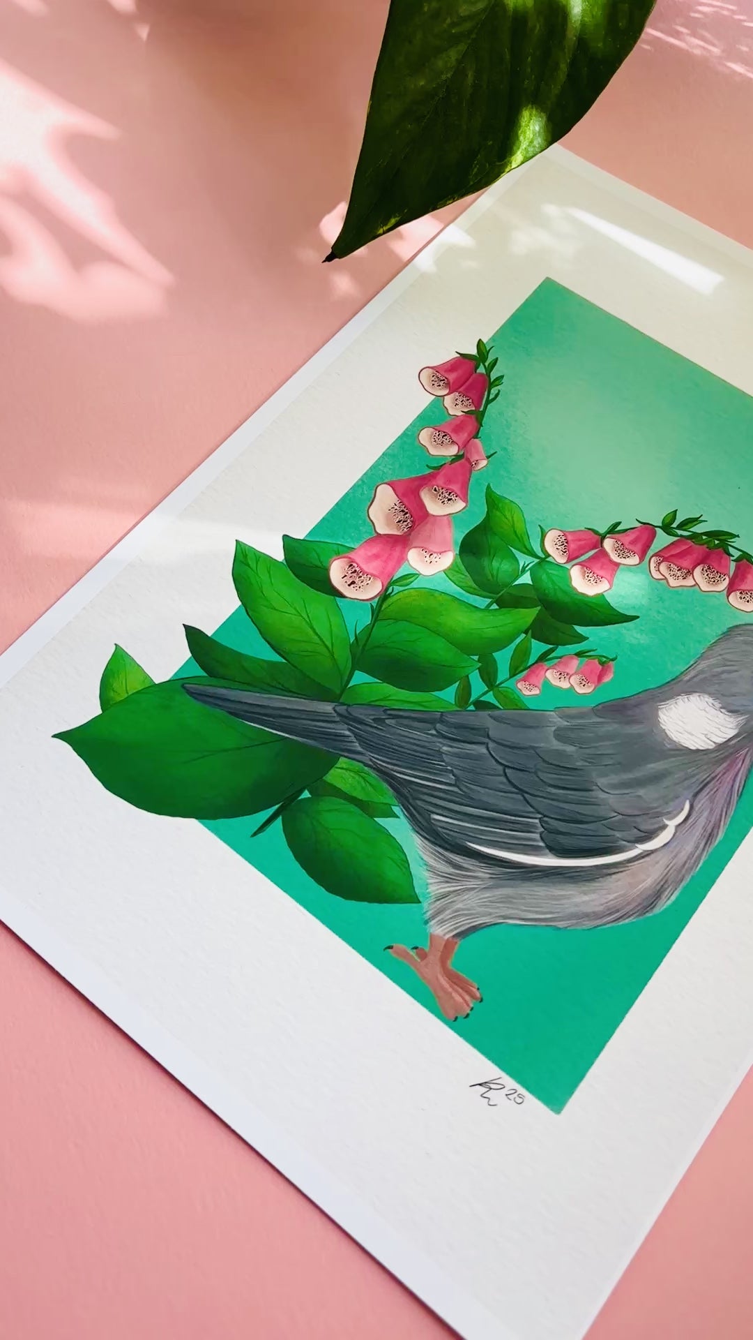 British wildlife pigeon art print for nature lovers. This cute print features an adorable wood pigeon in front of a bunch of pink foxglove plants. The perfect gift for nature lovers.