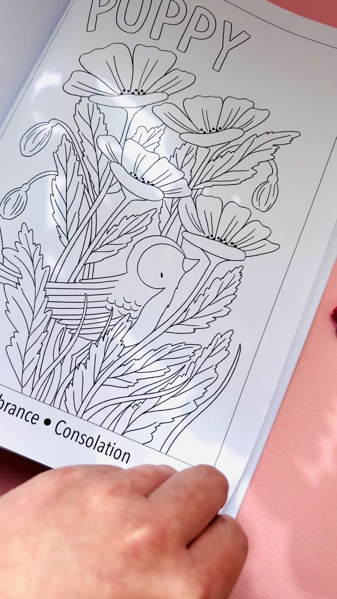 A hand drawn adult colouring book of flowers and their meaning. Illustrated with beautiful botanical drawings and a full colour cover that reads “blooming lovely: the language of flowers” for a fun creative way to relax and destress.