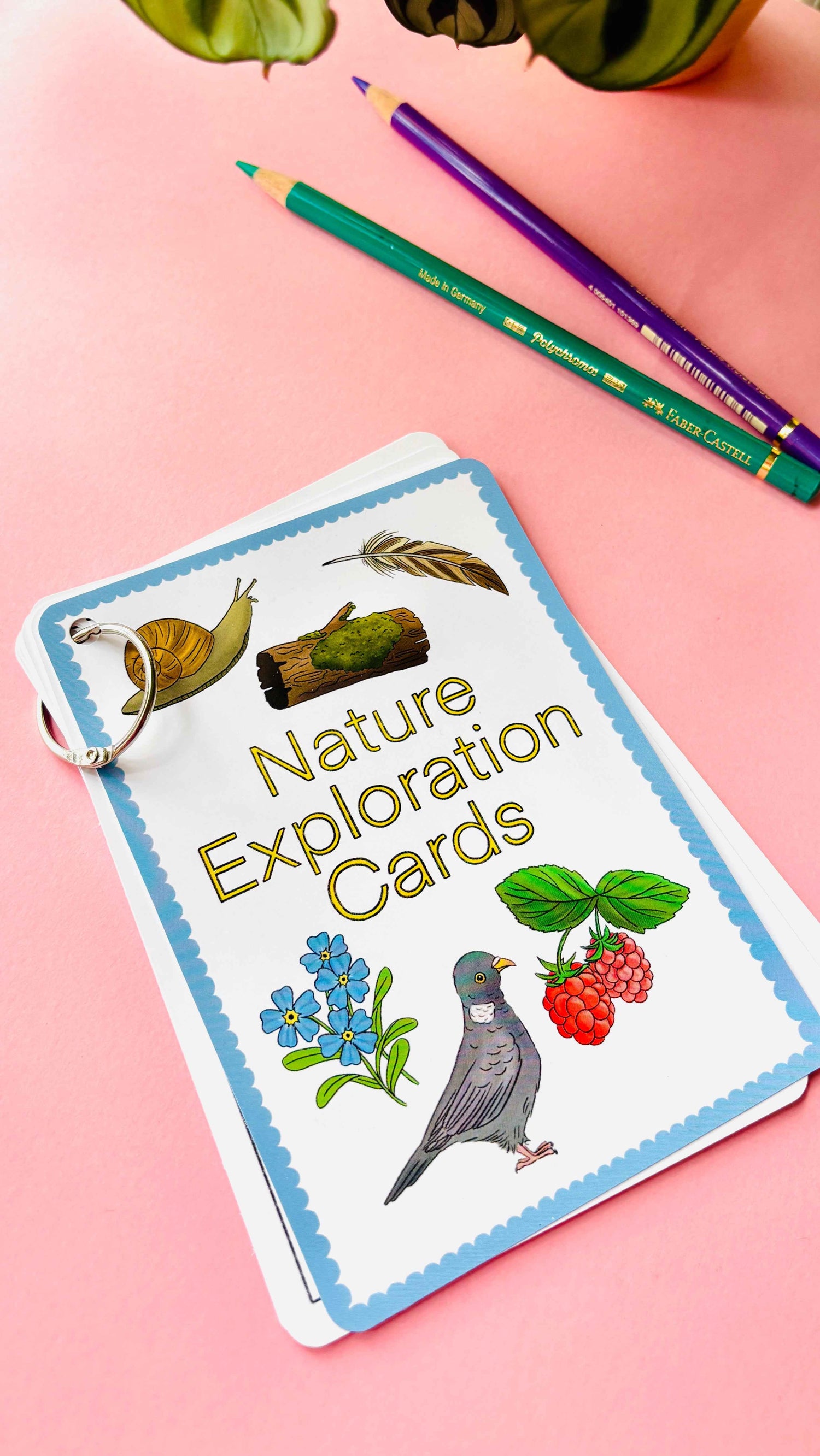 Beautifully illustrated nature activity cards for kids. Encourage outdoor learning, mindfulness, and adventure — perfect for eco-friendly gifts.