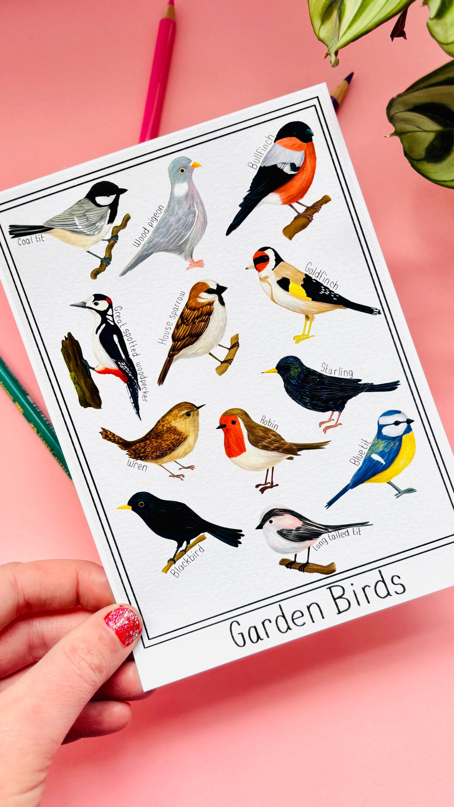 Garden bird wall art prints. Nature poster of British garden birds. Handmade in the UK
