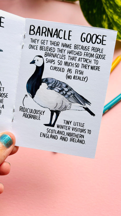 It’s not just a goose zine- a funny guide to common British geese