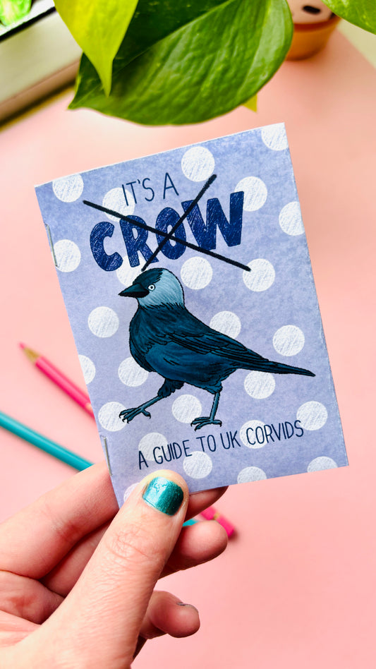 It’s not a crow zine- an illustrated guide to corvids of the UK