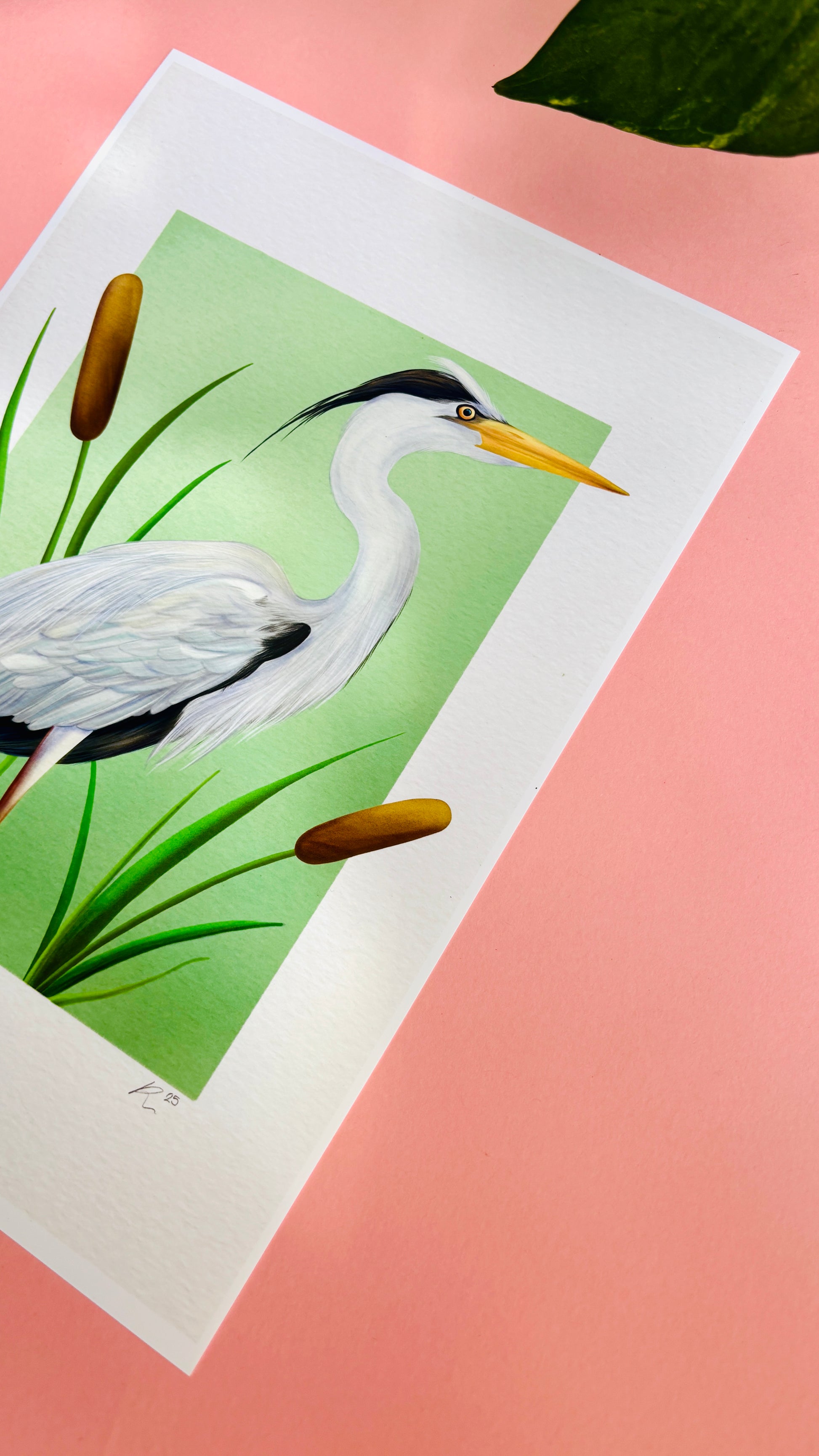Heron art print. A beautiful hand drawn illustration of a grey heron stood between the reeds. Uk wildlife art for nature lovers and cottagecore home decor styles. Printed onto matte archival  paper in a3, a4, 5x7, 6x4