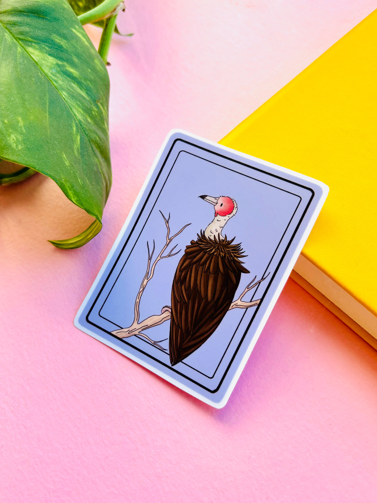 African Hooded Vulture Illustrated Waterproof Sticker- Nature Stationery