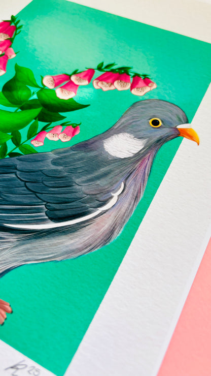 British wildlife pigeon art print for nature lovers. This cute print features an adorable wood pigeon in front of a bunch of pink foxglove plants. The perfect gift for nature lovers. 