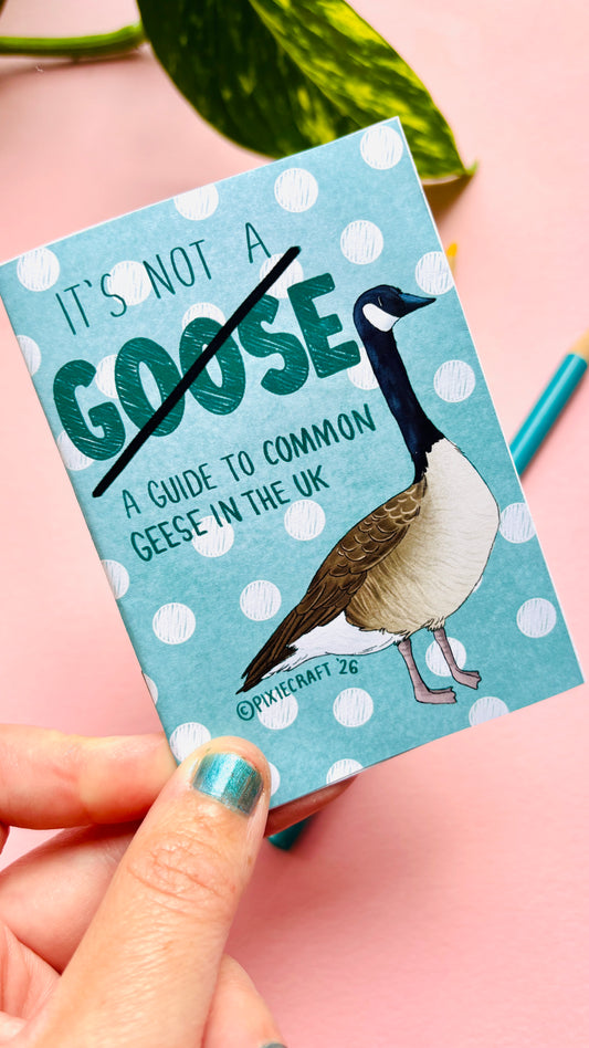 It’s not just a goose zine- a funny guide to common British geese