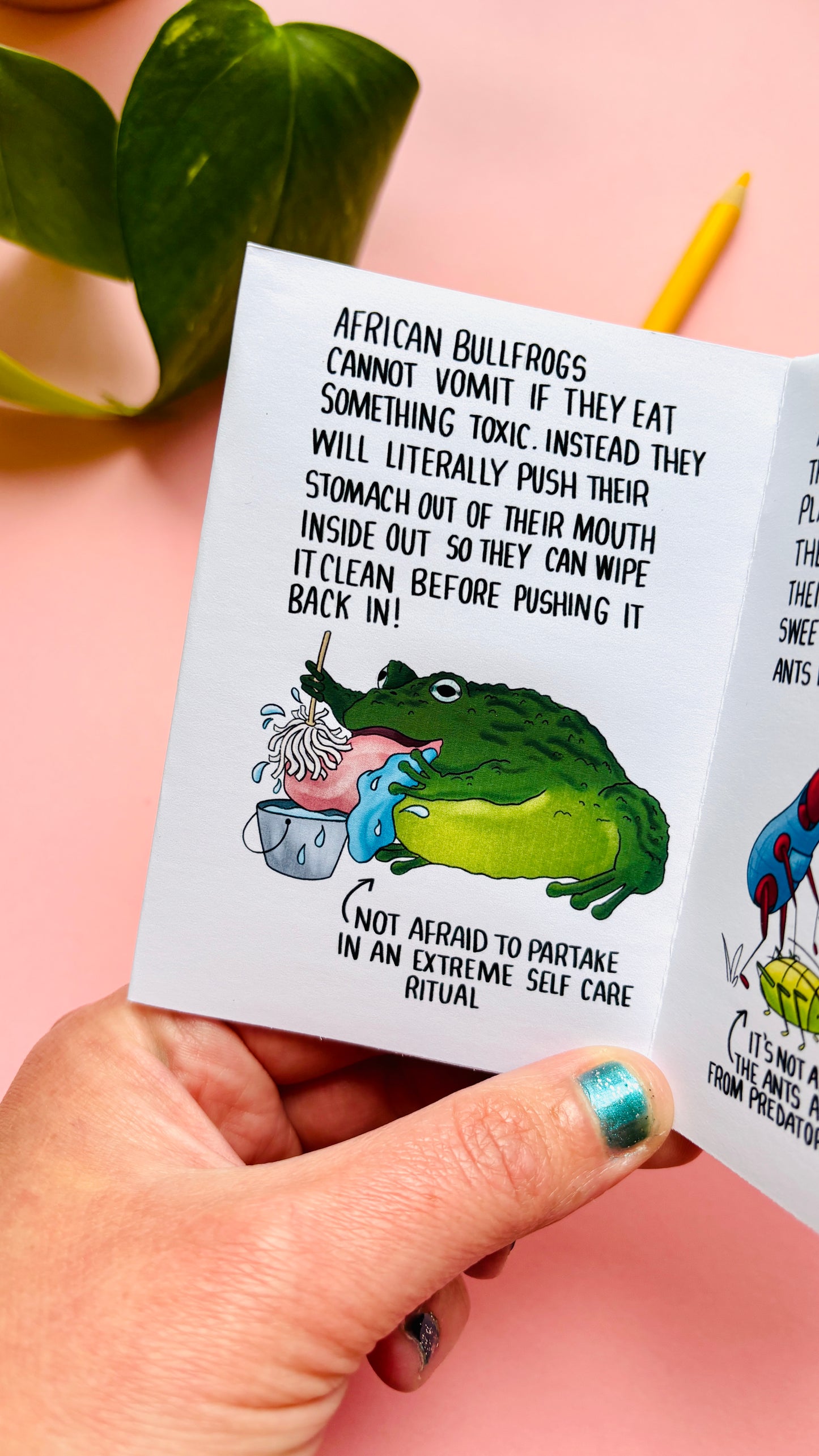They WHAT Now!? A Weird and Wonderful Animal Zine