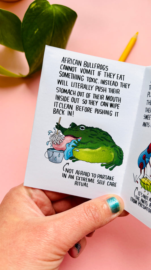 They WHAT Now!? A Weird and Wonderful Animal Zine