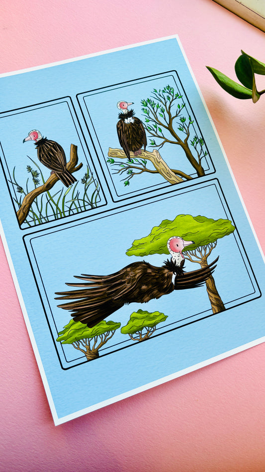 Robin the African Hooded Vulture Illustration Charity Art Print
