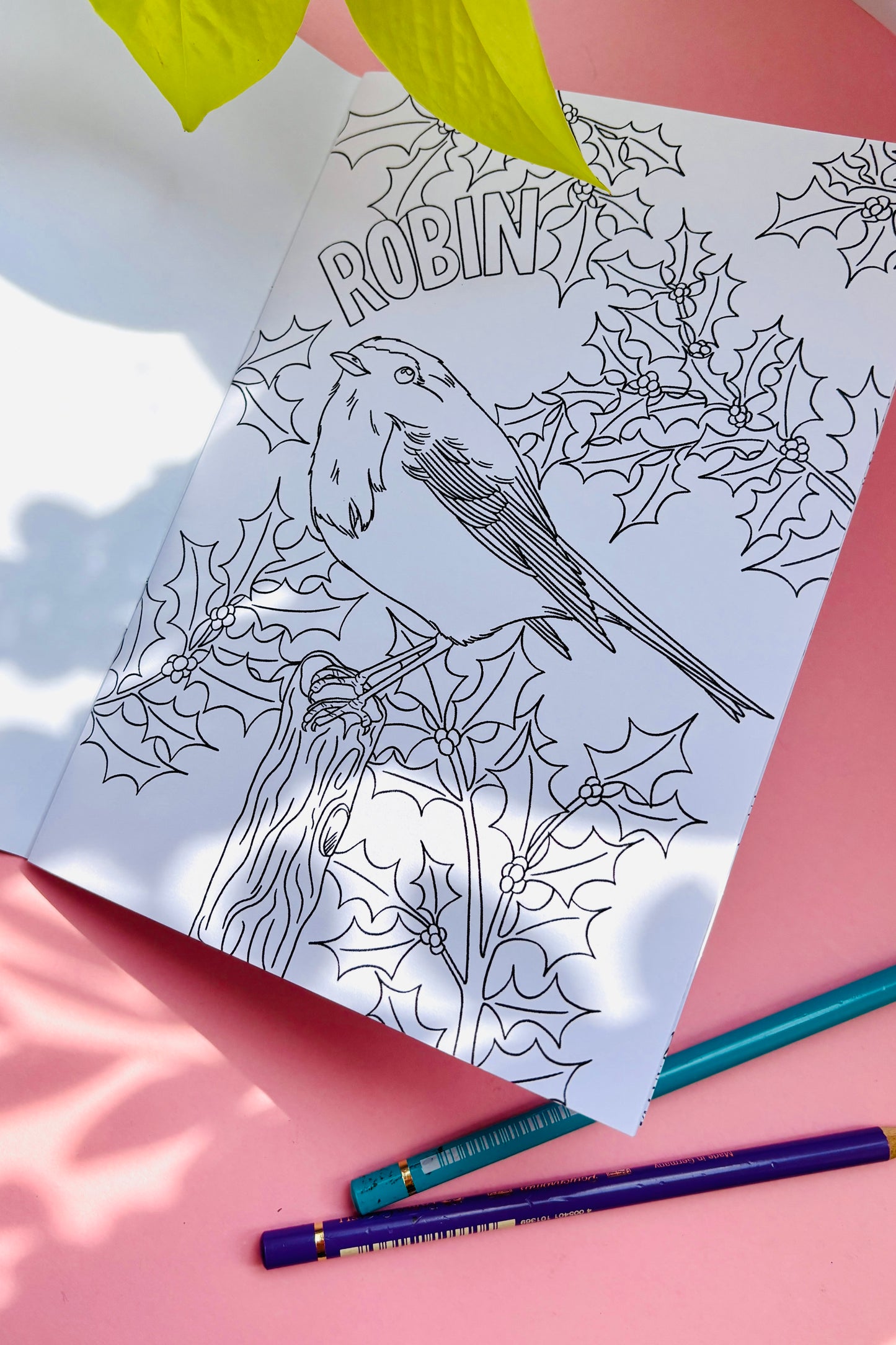 Garden Birds Colouring Book for Adults and Kids