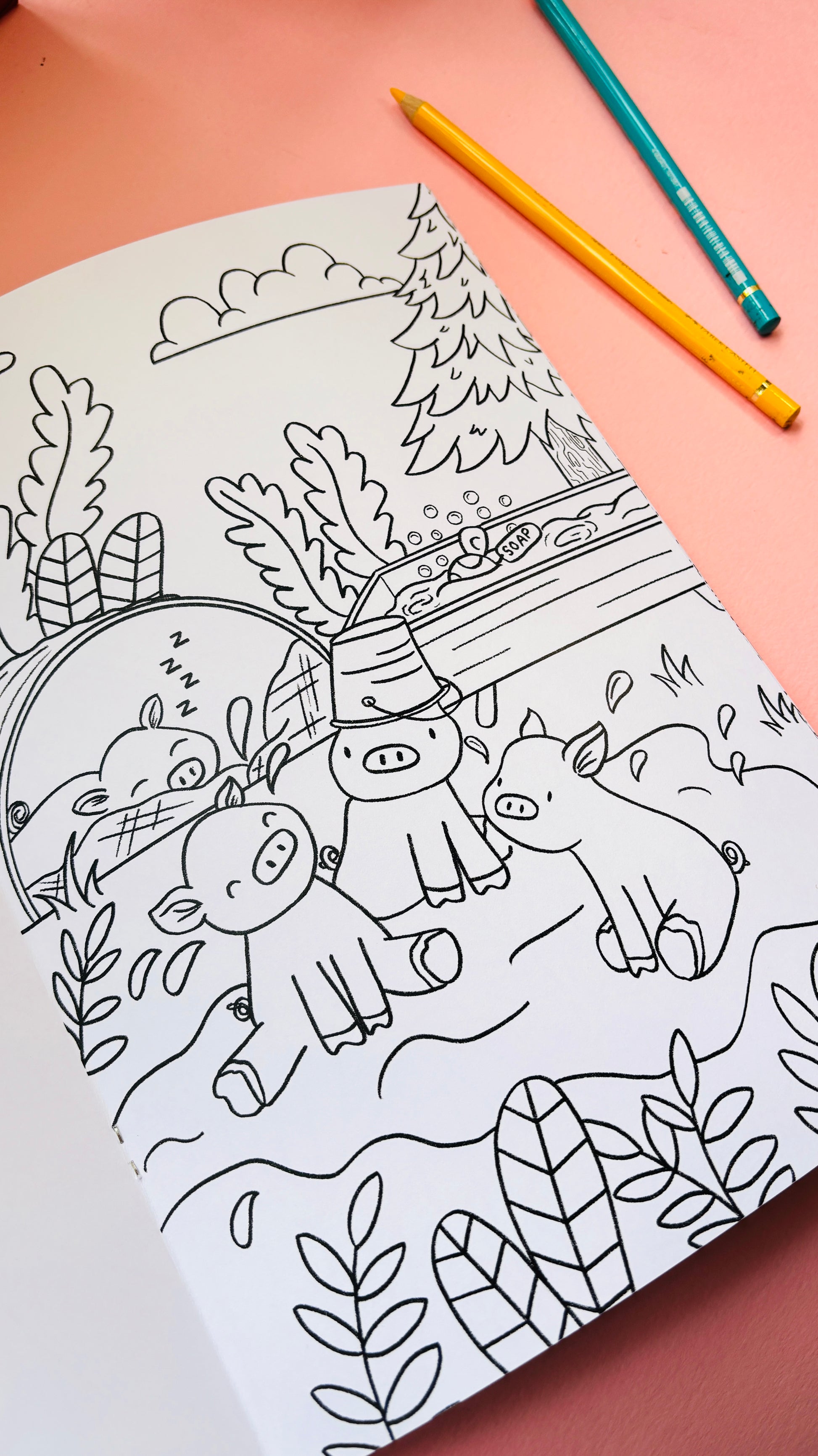 PRE-ORDER Spring into colour A4 colouring book - Pixiecraft