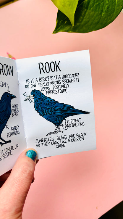 It’s not a crow zine- an illustrated guide to corvids of the UK